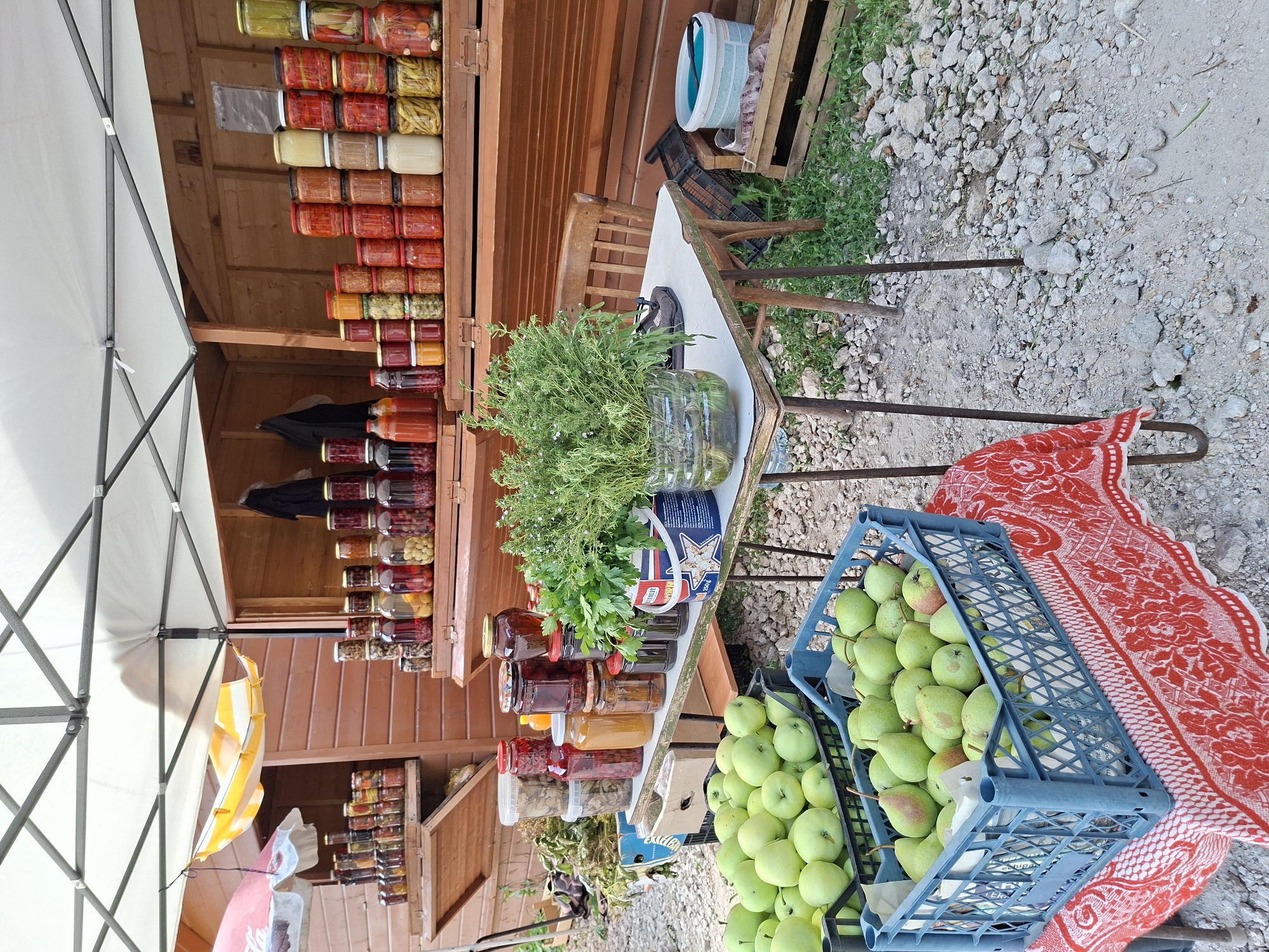 This is a forensic, matter-of-fact description of an outdoor market stall in Scoreni, Moldova. The scene is characterized by a temporary structure with a white canopy, providing shade over a wooden stall displaying a variety of preserved goods in jars. Rows of glass jars filled with colorful fruits, vegetables, and liquids are neatly arranged on shelves.
In the foreground, two blue plastic crates overflow with green apples, and a third blue crate contains green pears, some with reddish blush. These crates are placed on a table covered with a red and white patterned tablecloth. To the left, a red and white umbrella is partially visible, suggesting a larger market area.
On the table, in addition to the fruit, there are several jars of preserves, a bucket with greenery, and what appears to be a plastic bottle repurposed as a vase holding more greenery. A rustic wooden chair is positioned behind the table.
The ground is covered with gravel and some patches of grass. In the background, the wooden stall has open compartments displaying more jars of preserves. The overall impression is of a rural or semi-rural setting where local produce and homemade goods are being sold. There are no people visible in the image.