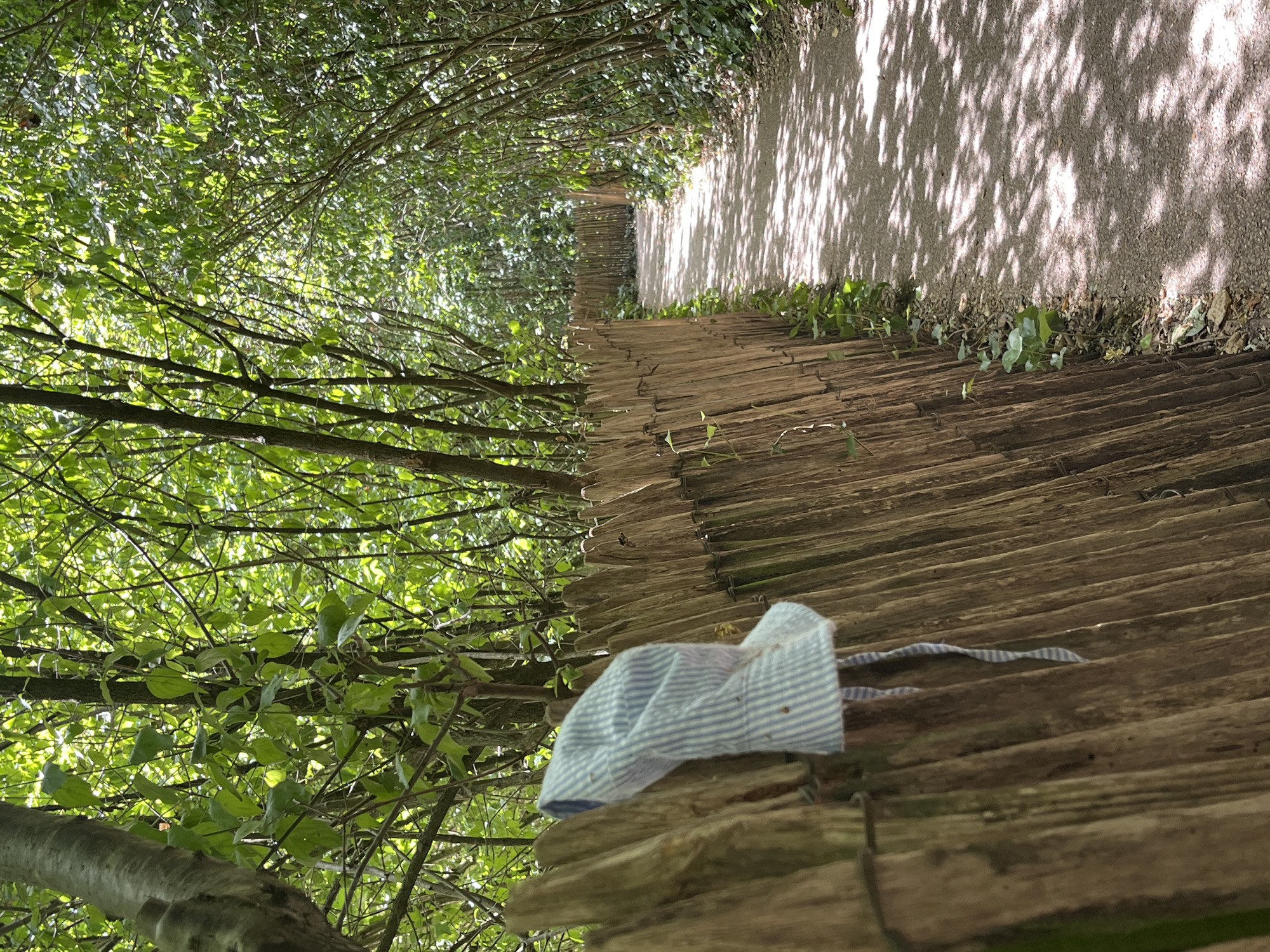 In Antony, France, a path meanders through a sun-dappled forest, flanked by a rustic wooden fence. A child's blue and white striped hat hangs on the fence, its brim folded over. The path is covered in gravel, and dappled sunlight filters through the dense canopy of green leaves overhead, casting intricate patterns on the ground. The fence is constructed from vertically aligned wooden stakes, bound together with wire. Lush vegetation, including ivy and small plants, grows along the base of the fence and the edge of the path. The scene suggests a peaceful, natural setting within the urban landscape of Antony.
