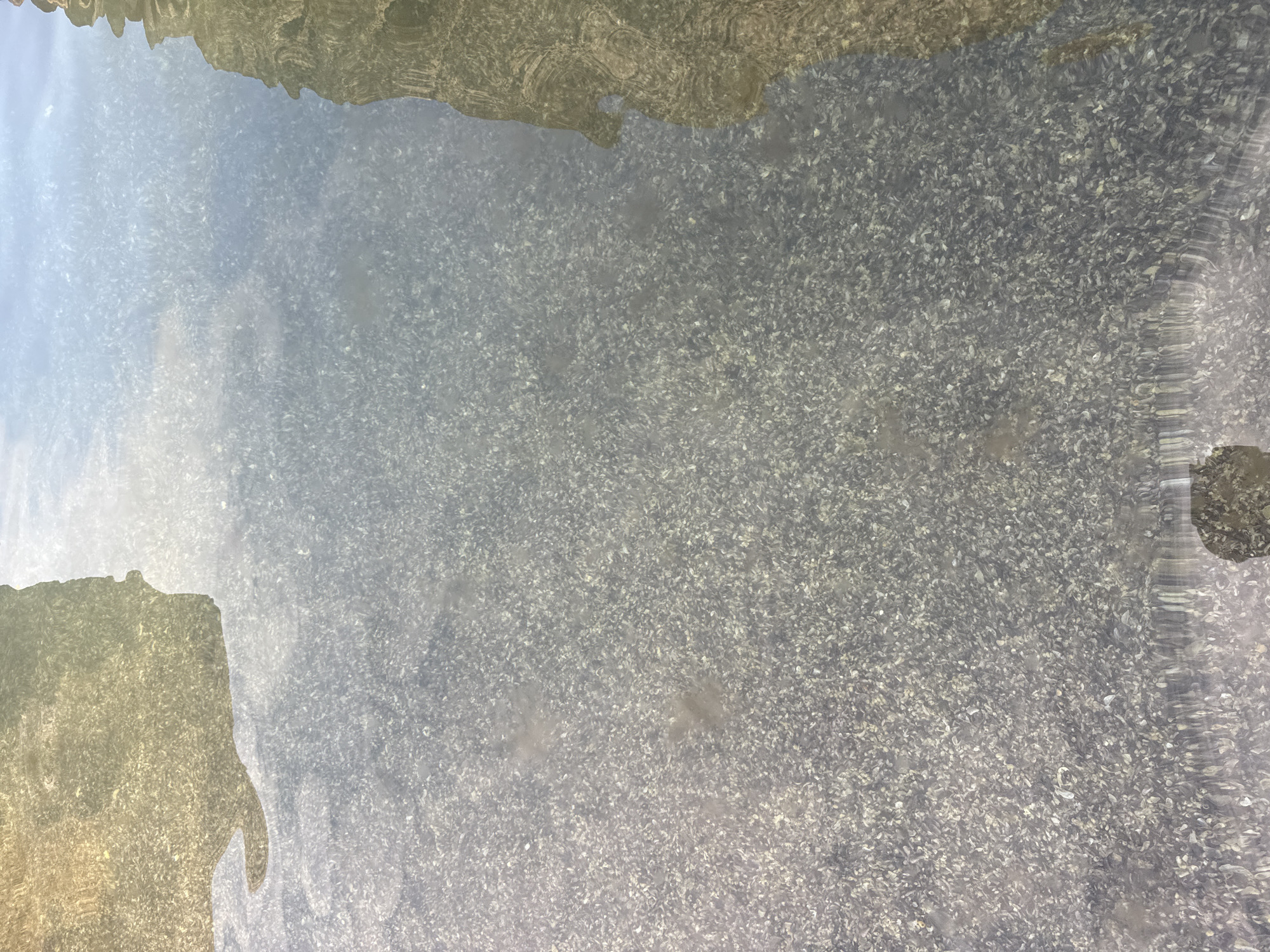 The image shows a shallow body of water with a rocky or pebbly bottom. Reflections of overhead structures and sky are visible on the water's surface. The water appears clear and still, with ripples distorting the reflections in some areas. There are no people or animals visible in the image. The scene is likely outdoors in a natural or semi-natural setting within the city of Aktau, Kazakhstan, potentially a shallow bay, a decorative pond, or a stream.