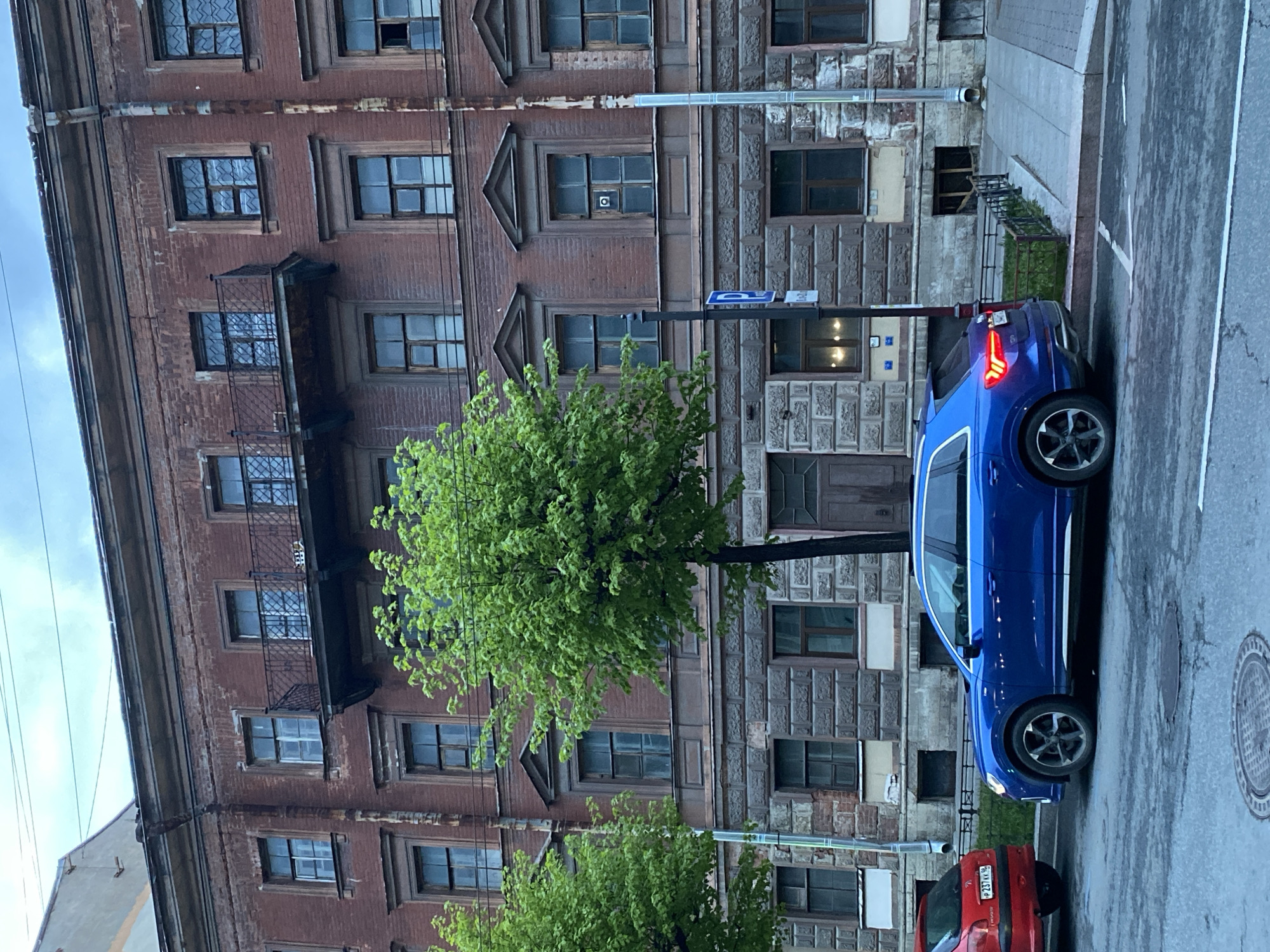 A photo taken in Saint Petersburg, Russia, shows an old brick building with multiple windows. Some windows have small balconies. Two trees with bright green leaves are positioned in front of the building. A blue car is parked on the street, with its rear lights illuminated. A red car is parked in front of the blue car. A street sign pole is visible near the cars. The street appears wet. A manhole cover is visible on the street.