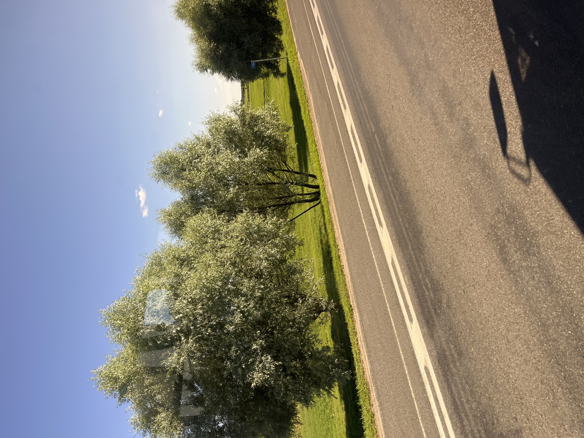 The image depicts a roadside scene on a sunny day. A paved road with double white lines runs diagonally across the lower half of the frame. To the left of the road is a green grassy field with several large, leafy trees. The trees have a silvery-green foliage. In the background, the field continues, with more trees and a clear blue sky with a few scattered white clouds. A blue signpost with the number "139" is visible on the right side of the frame, next to a tree. The overall impression is one of a rural or suburban landscape. The location is the city of Myadzyel, Belarus.