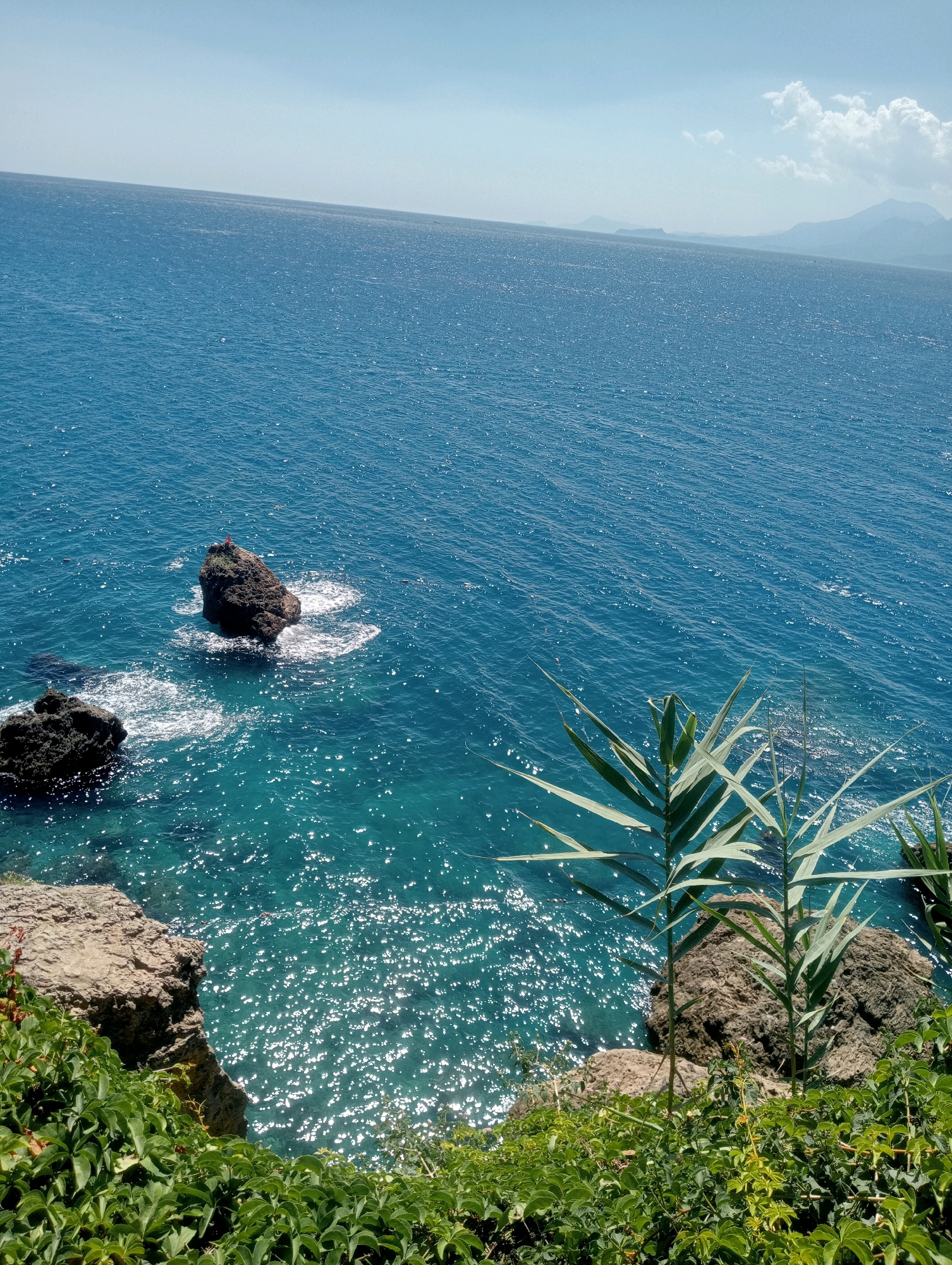 The image shows a view of the Mediterranean Sea from a rocky cliff in Antalya, Turkey. The water is a vibrant turquoise, reflecting the sunlight and creating a sparkling effect. Several dark, jagged rocks jut out of the water, with waves crashing against them. In the foreground, lush green vegetation covers the cliff, with tall, slender plants reaching towards the sea. In the distance, mountains are visible, silhouetted against a pale blue sky dotted with a few white clouds. The overall scene depicts a serene coastal landscape.