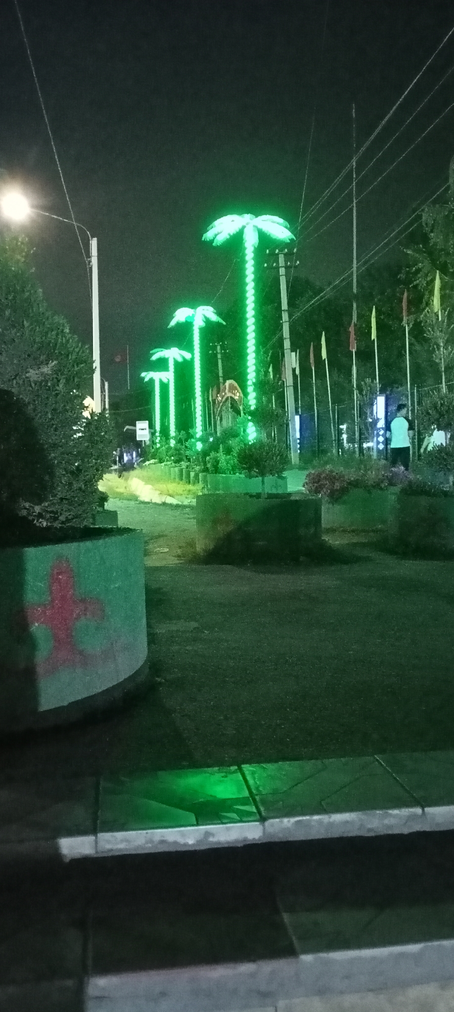 In Sokuluk, Kyrgyzstan, at nighttime, a street scene is captured, illuminated by green neon lights. The prominent features are three artificial palm trees adorned with vibrant green lights, standing tall and casting an ethereal glow. In the foreground, a circular planter, painted a light green, bears a red silhouette of a figure, its posture suggesting a running or jumping motion. Beyond the planters, a paved area stretches out, with a further cluster of similar planters in the mid-ground. In the background, a person in a white shirt and dark shorts is visible, standing near some foliage. The scene is further contextualized by streetlights and utility poles, suggesting an urban or semi-urban environment. The overall impression is one of nighttime illumination, likely for decorative purposes, against a backdrop of a quiet, possibly residential or commercial, street.