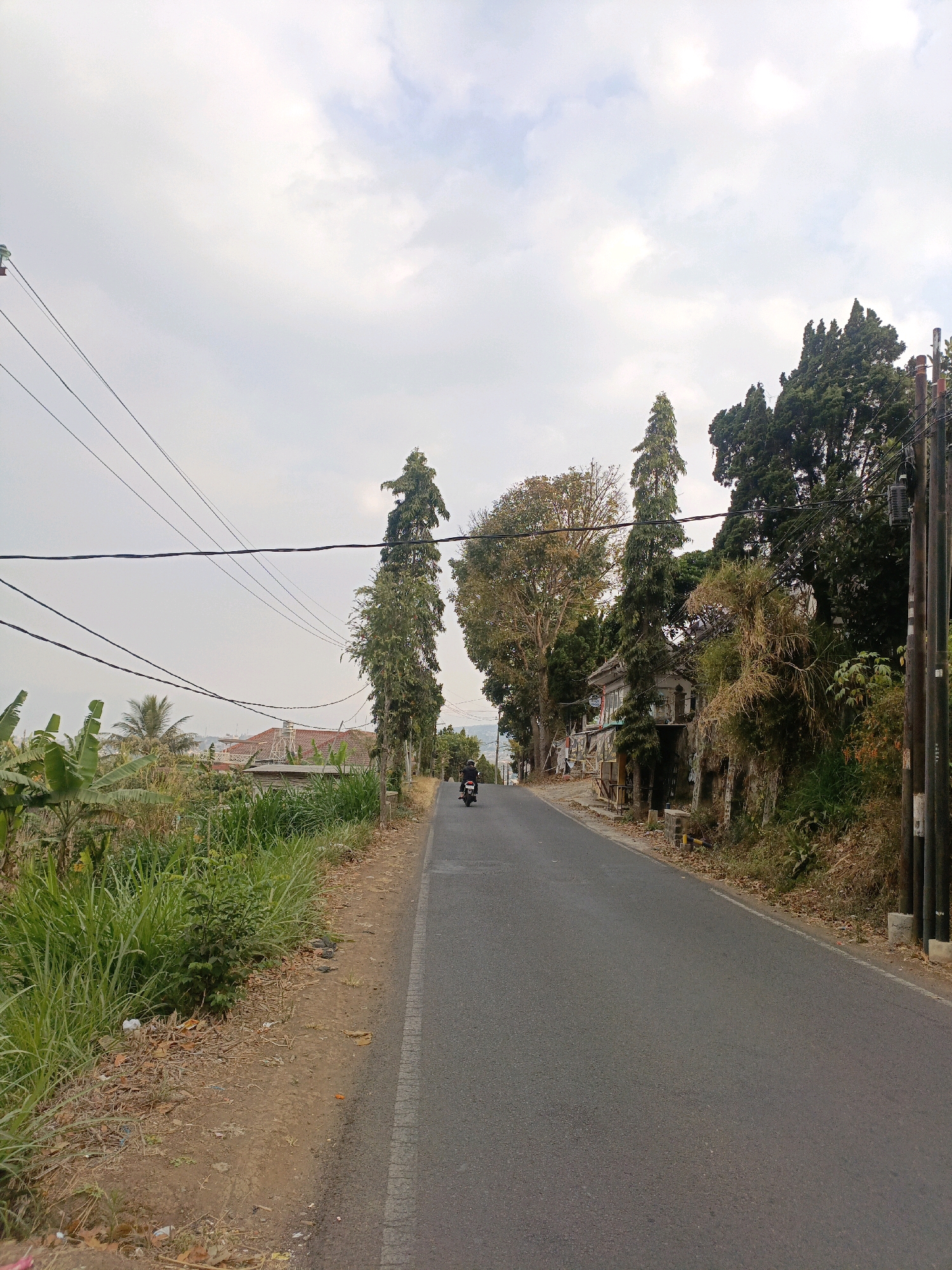 A motorcycle is seen from behind, traveling down a paved road in what appears to be a rural or semi-rural area of Batu, Indonesia. The road curves slightly to the right. On the left side of the road, there is lush green vegetation, including what looks like banana plants, and some dry brush and fallen leaves. Further in the distance on the left, several houses with red tiled roofs are visible, along with power lines stretching across the frame. On the right side of the road, there is a steep embankment covered in various types of trees and dense foliage, including tall, slender evergreen trees. A simple building, possibly a house or shop, is partially visible nestled into the embankment. The sky is overcast with light clouds. The overall impression is a somewhat undeveloped, natural landscape within a residential area.
