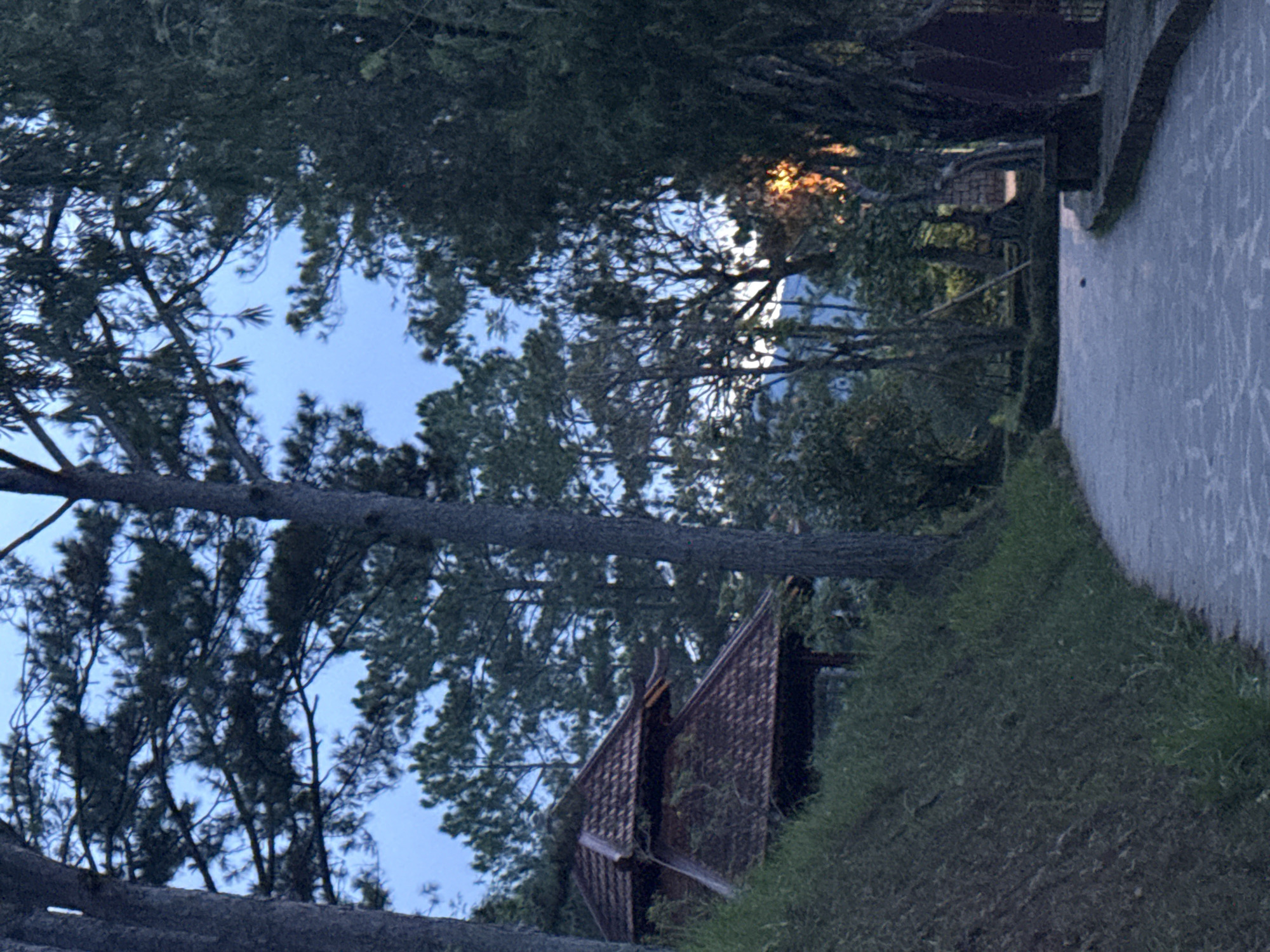 This image depicts a serene outdoor landscape in Da Lat, Vietnam, likely captured during twilight hours.
In the foreground, a light-colored, stone-paved pathway, constructed with irregularly shaped flagstones, curves gently from the lower-center towards the right side of the frame. To the immediate left of the path, a steep, grassy embankment rises, covered with short, dark green vegetation and patches of dark soil. The right edge of the path is bordered by a low, dark stone retaining wall.
In the midground, on the upper left side of the frame, a traditional-style structure is partially visible, nestled on the slope. It features a two-tiered roof composed of dark reddish-brown tiles with distinct upward-curving eaves, characteristic of local East Asian architecture. Dark wooden structural supports are discernible beneath the roofline. Tall, slender pine tree trunks flank the path, one prominent on the far left and another slightly to the right of the center, their rough, grayish bark contrasting with the dark green needles of their canopies.
The background is dominated by a dense forest primarily consisting of tall, dark green pine trees, which fill the upper and right portions of the image. Between the tree canopies, a pale blue sky is visible. On the far right, a distinct orange and yellow glow, suggestive of either sunrise or sunset, filters through the dense foliage, casting a warm light on some of the leaves and branches. No individuals, animals, or explicit actions are present in the scene, which conveys a tranquil and natural, yet cultivated, environment.