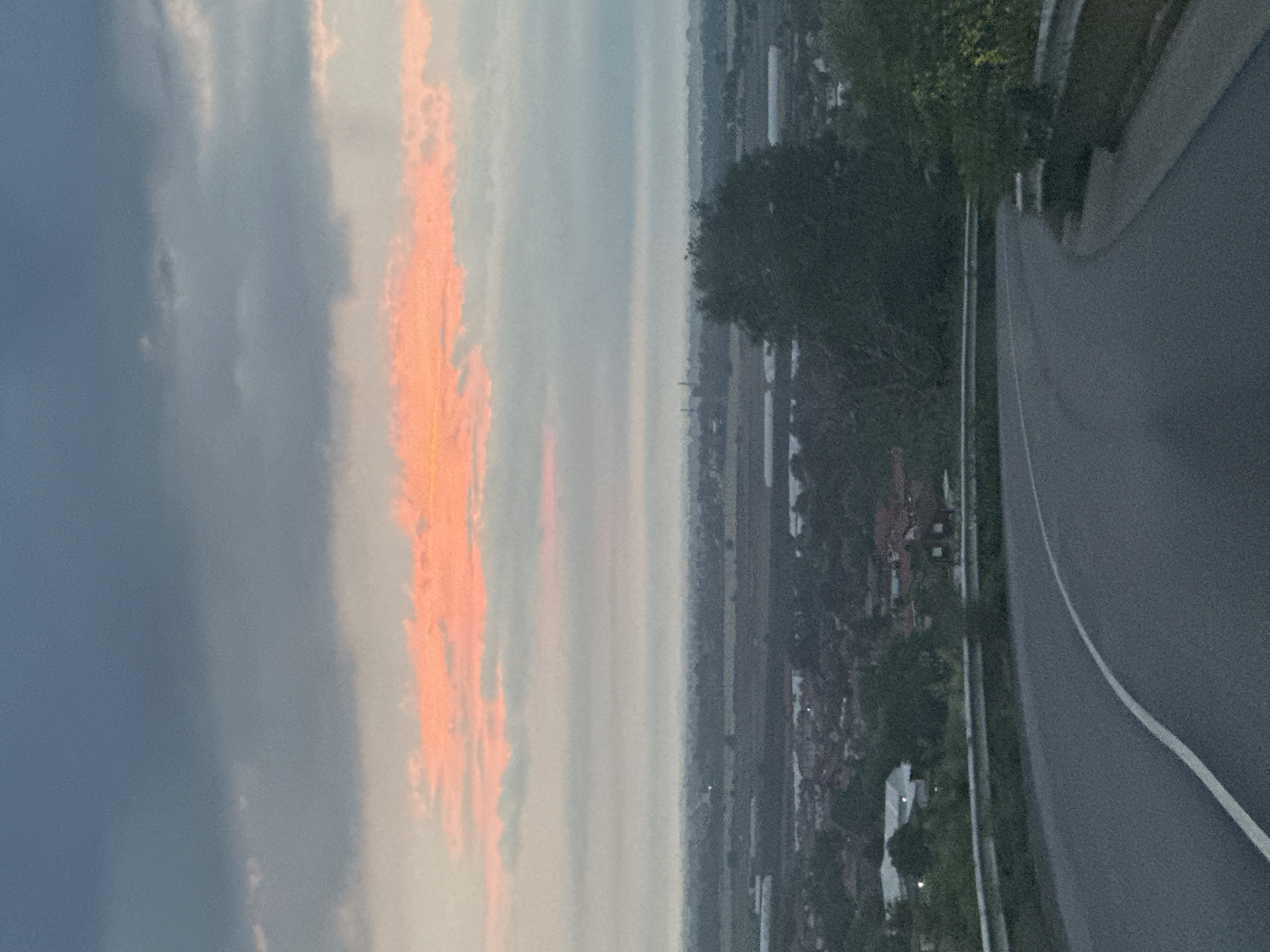 The image captures a serene landscape scene at either sunrise or sunset, viewed from an elevated position. The sky occupies the left side of the frame (if rotated to a standard landscape orientation), featuring a dramatic display of clouds. A prominent band of clouds is intensely illuminated with vibrant orange and pink hues, indicating the presence of the sun low on the horizon, while the surrounding sky is a softer grey-blue.
Stretching across the middle of the image is a hazy horizon line, revealing a distant landscape. This area appears to be a valley or plain, dotted with indistinct buildings and clusters of trees, suggesting a rural or semi-urban settlement. The lighting across this distant land is subdued, adding to the atmospheric quality of dusk or dawn.
On the right side of the image, a paved road or pathway dominates the foreground, curving upwards and to the right. A clear white line marks the edge of the road. Along the immediate edge of the road and extending into the lower right corner, there is dense, dark green foliage, likely consisting of trees and bushes. Another segment of dark green trees is visible further down the slope, separating the road from the more distant landscape.
No people or specific activities are visible in the image. The scene conveys a sense of tranquility and natural beauty, characteristic of a scenic overlook. There is no visible text. The location context indicates this is a landscape in Isperihovo, Bulgaria.