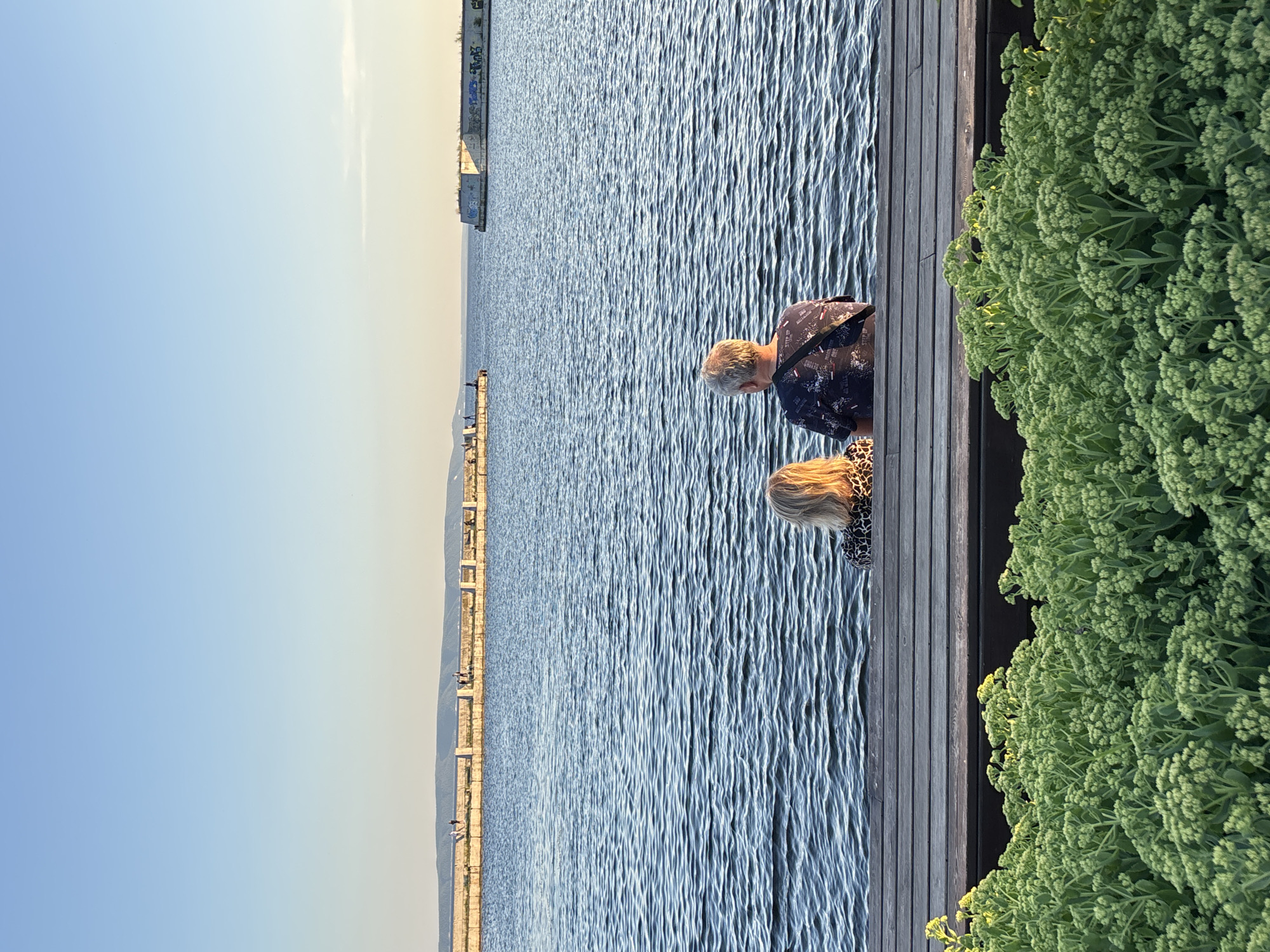 Two people, an adult and a child, are standing on a wooden pier next to a body of water. The adult, with graying hair, is wearing a dark patterned shirt and is looking down towards the water. The child has blonde hair and is wearing a leopard-print top. They are positioned on the right side of the frame, with lush green plants to their right.
The scene appears to be set during daylight, with a clear sky and calm water reflecting the light. The pier runs along the edge of the water, and in the distance, a long stone structure with people and railings is visible. The overall atmosphere seems peaceful, possibly a leisurely outing by the water. The setting is likely a waterfront area, possibly a promenade or a harbor.