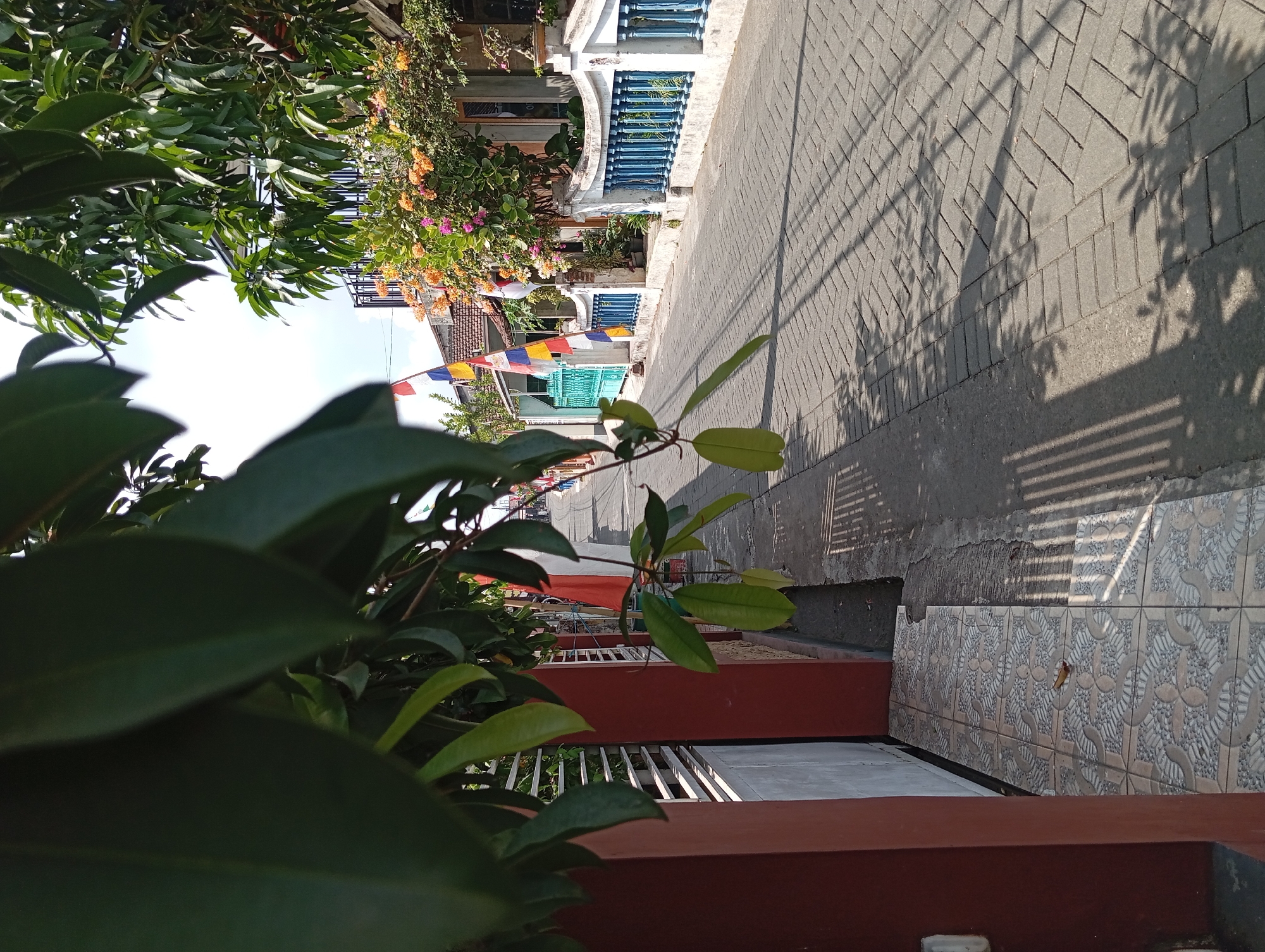 The image depicts a street scene in the city of Kepulungan, Indonesia. The perspective is from a low angle, looking down a paved road lined with houses and vegetation. In the foreground, to the left, is a section of a red wall and a white fence with horizontal slats. Decorative patterned tiles are visible on the ground next to the wall.
The road itself is paved with gray interlocking bricks, and the afternoon sun casts long, distinct shadows of leaves and branches across it, creating a dappled effect. Along the right side of the road, there is a low white fence with blue railings. Behind the fence, a house with white trim and a tiled roof is visible. A bush with vibrant orange and pink flowers is growing in front of the house.
Further down the street, more houses are visible, some with white walls and tiled roofs. Decorative flags in red, white, yellow, and blue are hanging from poles along the street, suggesting a local celebration or event. The sky is bright blue with some scattered clouds. The overall impression is of a quiet, residential street in a tropical or subtropical environment. There are no people visible in the image.