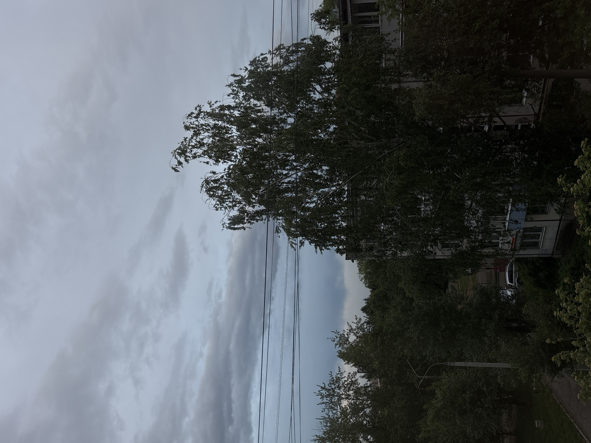 The image captures a cloudy day in what appears to be an urban environment. The sky is overcast with varying shades of grey clouds. Several power lines stretch across the frame, intersecting with the view of a large tree with dense foliage. Behind the tree, part of a multi-story building is visible, featuring windows and a light-colored exterior. Further in the background and obscured by the tree, there is additional greenery suggesting other trees or a park. In the foreground, there appears to be more vegetation, potentially bushes or low-lying plants. The light suggests the time of day is either early morning or late afternoon given the soft diffuse quality. Without further information, exact details related to Izhevsk, Russia or any specific individuals, actions or interactions cannot be provided.