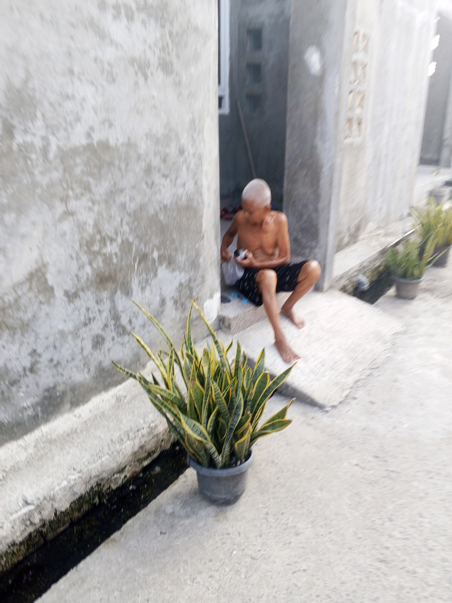 An elderly, shirtless man with a shaved head sits on a concrete step outside a building. He is wearing dark shorts and is holding a white plastic bag in his hands, appearing to be examining its contents. In the foreground, a potted snake plant with variegated green and yellow leaves sits on the concrete. Behind the man, a doorway is visible leading into a building with textured concrete walls. To the right of the man, more plants in pots are lined up, suggesting an outdoor area in a residential or communal space. The environment appears to be a street or alleyway in a warm climate. The overall scene suggests a moment of quiet activity in an urban setting, likely Ciruas, Indonesia, given the architectural style and vegetation.