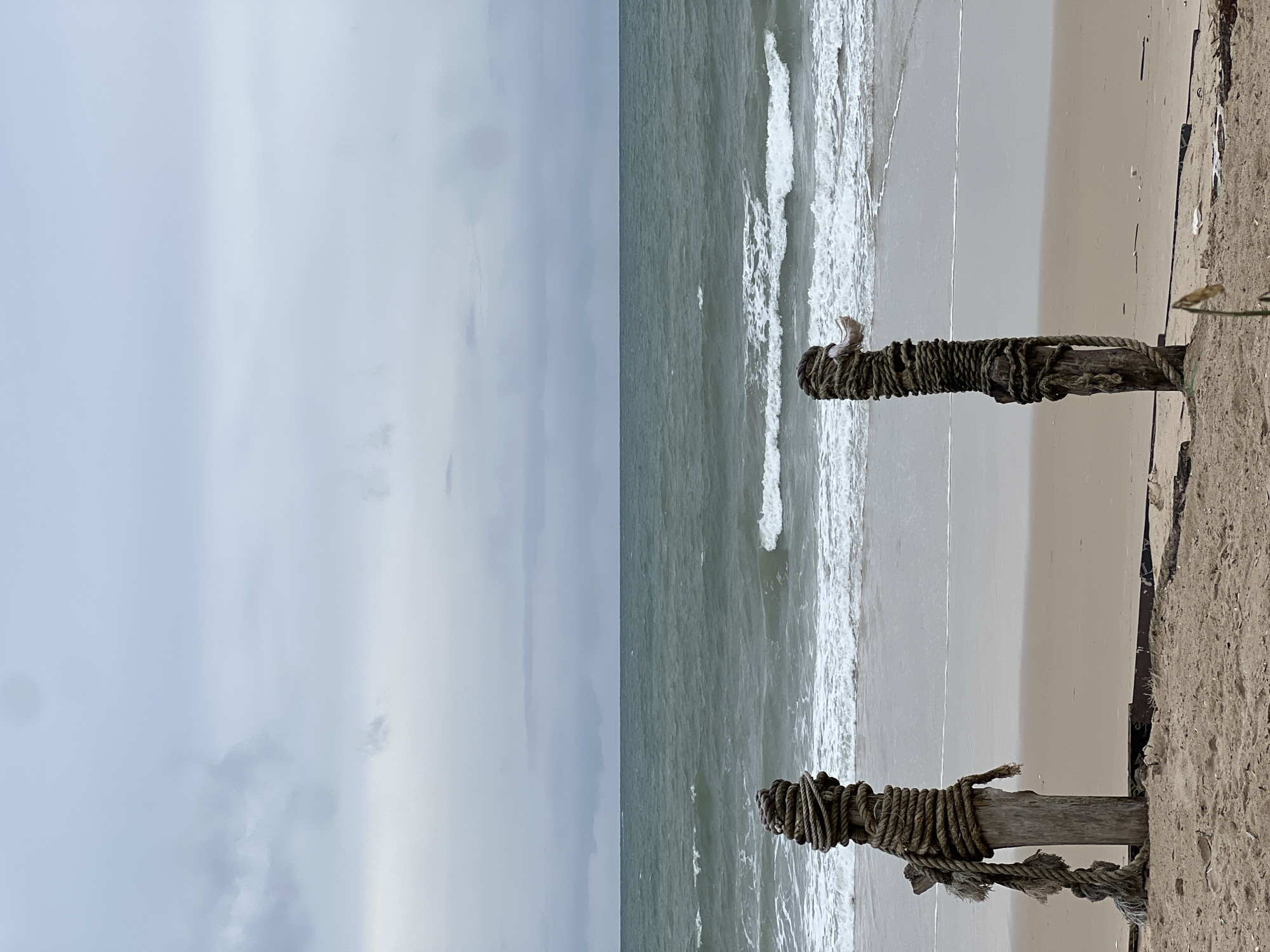 This outdoor photograph depicts a beach scene under a cloudy sky, presumably near the ocean, in an unknown city and state. The horizon line roughly divides the image into two halves: the sky on the left and the ocean/beach on the right.
In the foreground, there are two weathered wooden posts wrapped with rope. The posts are positioned on the sandy part of the beach. A sparse patch of green vegetation is visible behind the closest post.
Beyond the posts, the beach stretches out towards the ocean. Waves are visible near the shoreline. The sand color varies, with lighter shades closer to the water and darker shades further inland.
Above the ocean, the sky is overcast with a uniform grey tone, indicating cloudy weather conditions. The ocean reflects the sky's color, giving it a dark, somewhat turbulent appearance.
