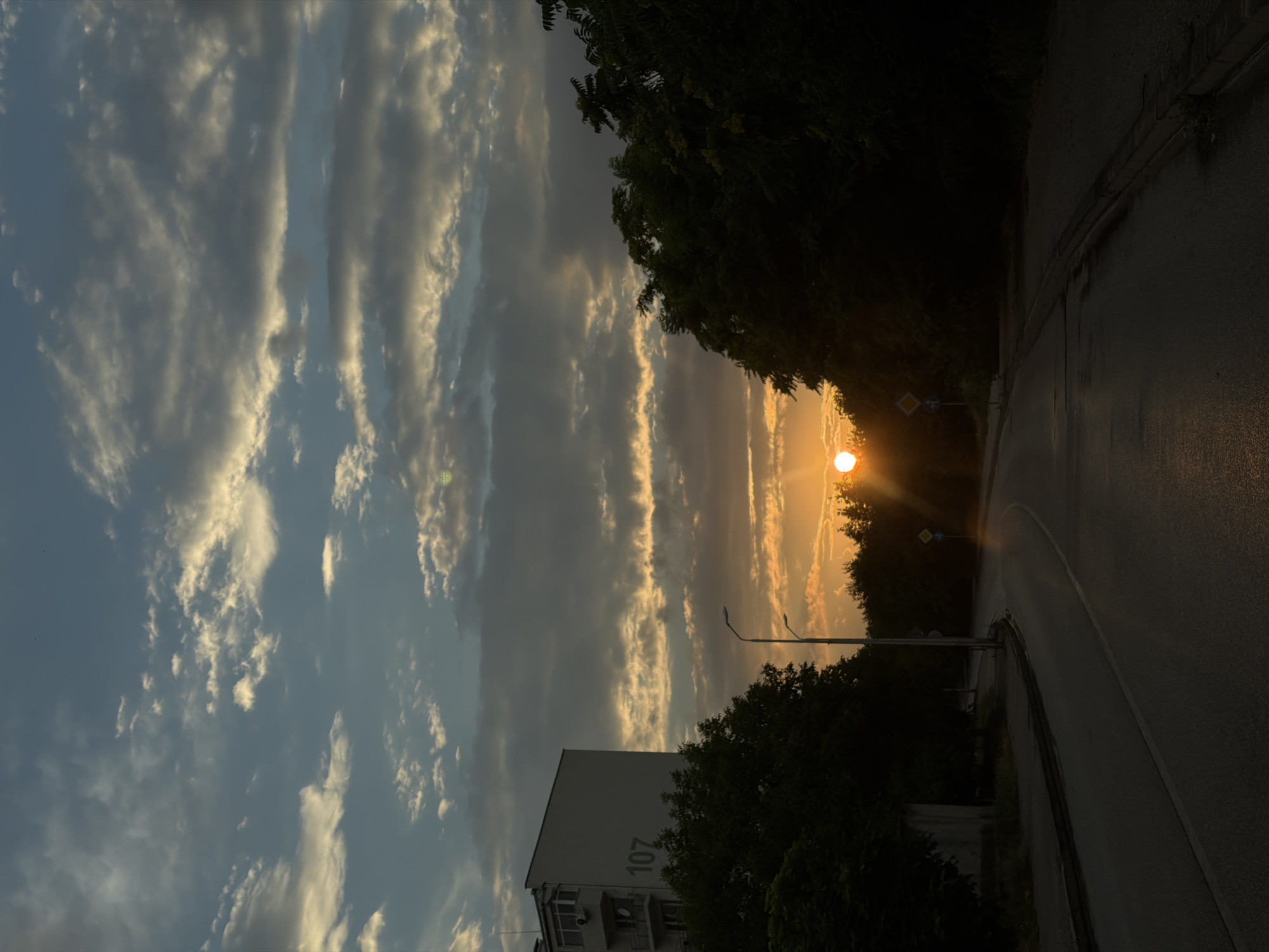 The image depicts a street scene in Lovech, Bulgaria, during sunset. The sky is filled with a mix of blue, gray, and orange clouds, with the sun low on the horizon casting a warm glow. A two-lane asphalt road curves through the scene, reflecting the sunlight. On the left side of the road, a multi-story building with the number "107" visible on its facade stands amongst dark green trees. A lamppost is positioned between the building and the road. The right side of the road is lined with dense trees, obscuring much of the background. Two diamond-shaped traffic signs are visible on the right side of the road. The overall impression is one of a serene, urban landscape at dusk.