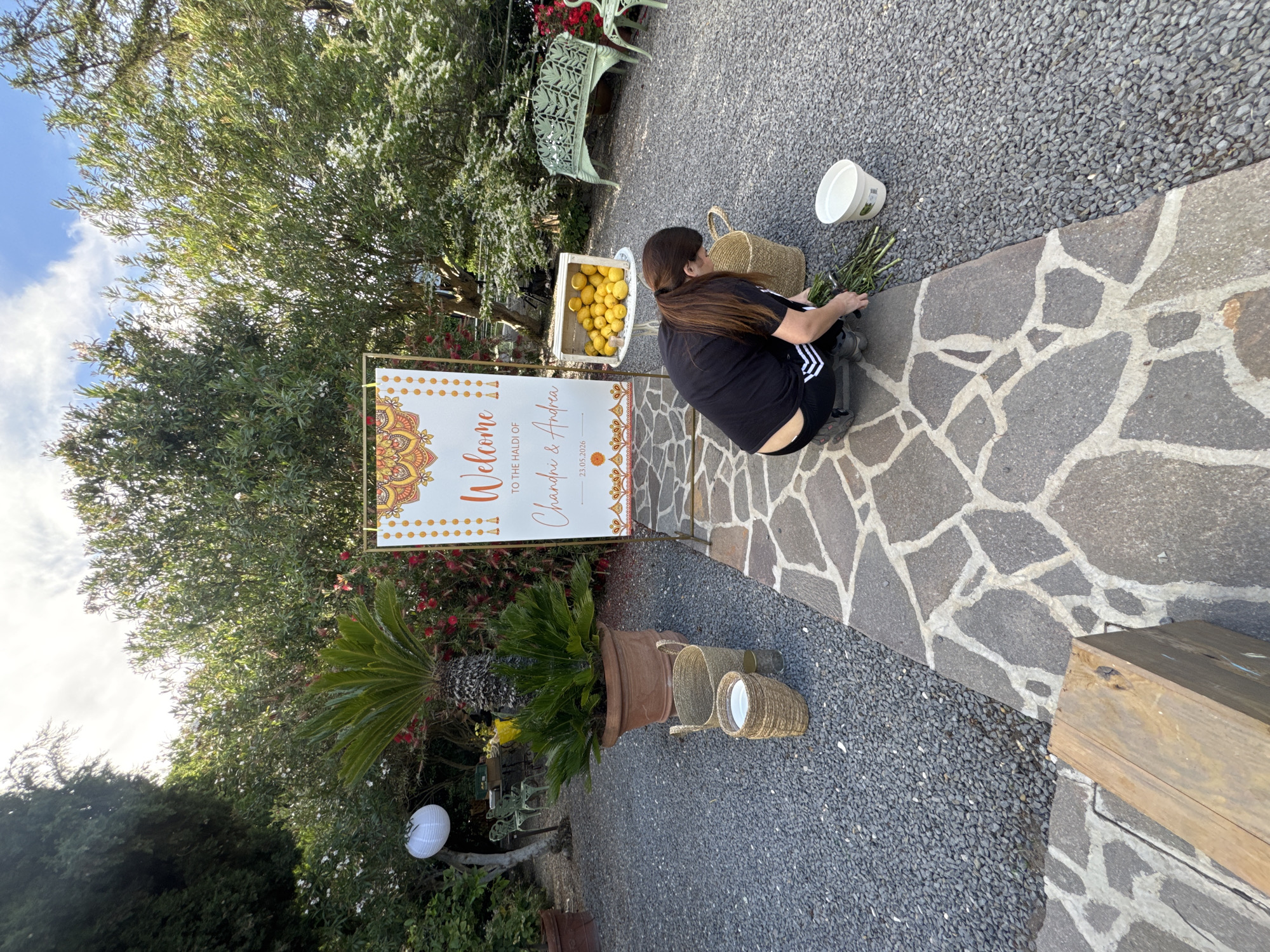 Captured in Castel Gandolfo, Italy, the scene presents an outdoor setting where preparations are underway for what seems to be a wedding or celebration event. A woman is squatting near a stone pathway, arranging green foliage. To her left, a sign reads "Welcome to the Haldi of Chandrahi & Andrea - 23.05.2026", placed next to a wooden crate filled with lemons. Various plants and trees surround the scene, along with rustic decorative elements such as woven baskets and a white paper lantern. The ground is covered in small gravel, leading to the stone pathway. The sky is partially visible, indicating a daytime setting.