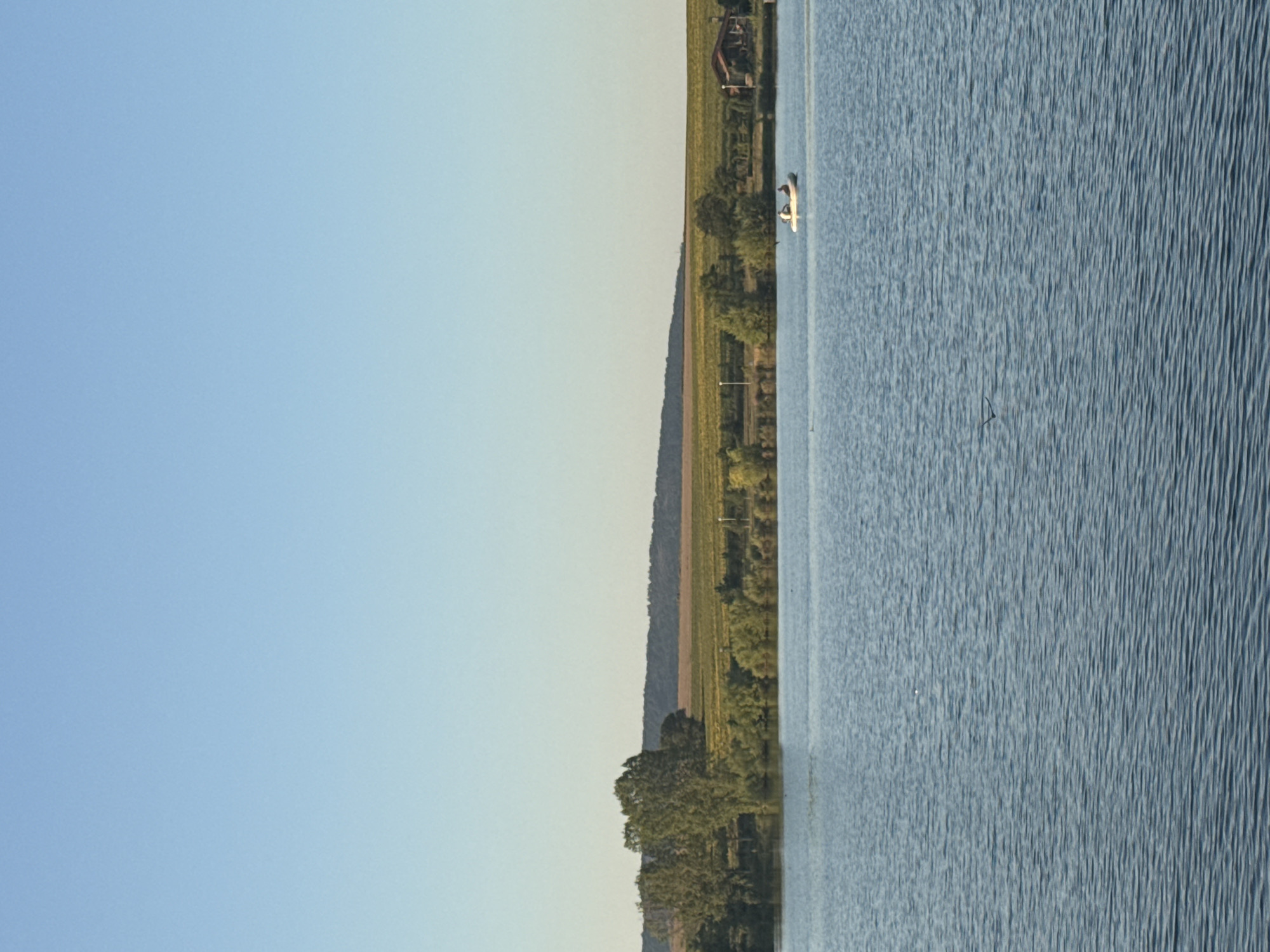 The image captures a serene scene of a calm lake with a distant treeline and rolling hills under a clear blue sky. In the foreground, the water is rippled, reflecting the light. Towards the middle ground, a small, white inflatable boat with two individuals is visible, gliding across the surface. On the far bank, a cluster of trees and lush vegetation forms a verdant barrier, behind which a field of yellow crops stretches towards a dark, undulating hill in the distance. A small, rustic wooden structure with a red roof is nestled among the trees on the right side of the frame. The overall impression is one of tranquility and natural beauty, characteristic of the village of Begunovtsi, Bulgaria, which is known for its picturesque landscapes and agricultural surroundings.