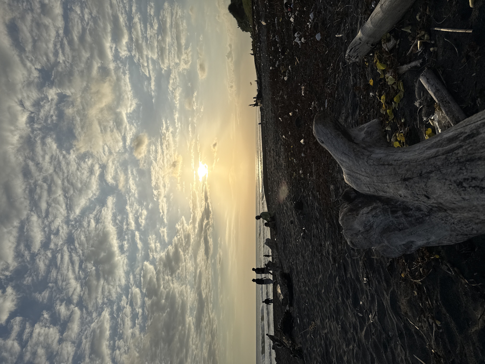 The image shows a beach at sunset. The sky is filled with clouds, and the sun is low on the horizon. In the distance, the sky is a bright yellow color. On the beach are people, and driftwood logs on the dark sand.
Location: Unknown, Unknown