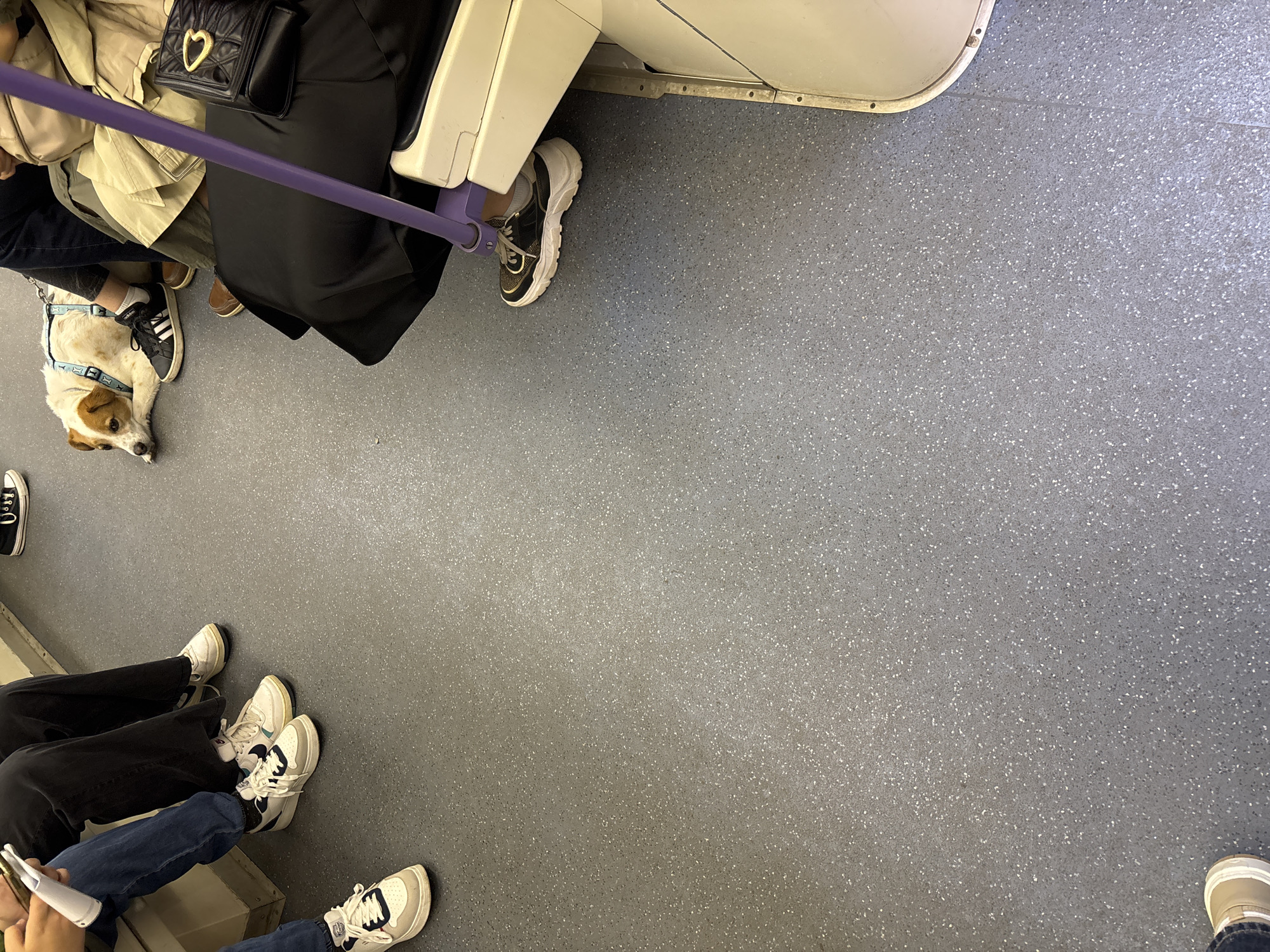 The image depicts the interior of a public transport vehicle, specifically the Sofia Metro in Sofia, Bulgaria. The floor is a gray speckled surface. Multiple passengers are present, only their lower bodies and footwear visible. One passenger has a small dog wearing a blue harness lying at their feet. Another passenger is holding a mobile phone. A black purse with a heart shaped gold clasp is on a seat. The seating and interior are predominantly white. A purple pole separates seating.