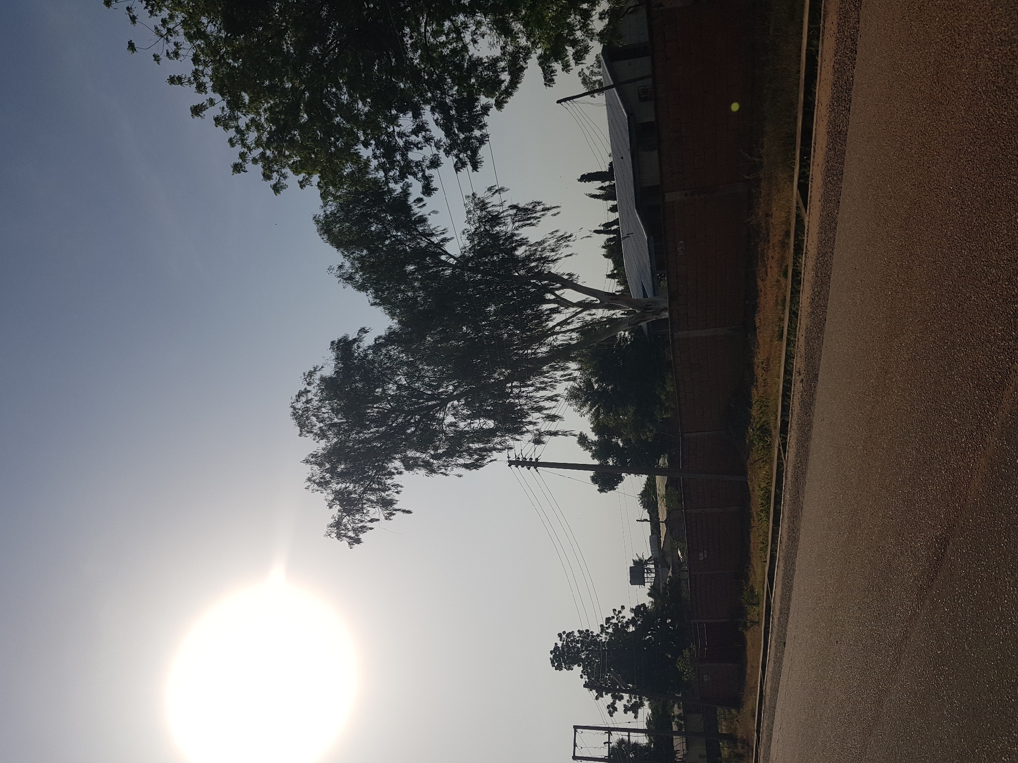 The image depicts an outdoor scene with a bright sun in the lower left portion, suggesting a daytime setting, likely mid-morning or afternoon due to the sun's intensity and position. A large tree with dense foliage dominates the middle of the frame, its branches extending towards the sky. In the background, a brick building with a corrugated metal roof is visible, partially obscured by trees and utility poles with overhead wires. A fence lines the property, separating it from a textured, asphalt road that occupies the right side of the image. The overall atmosphere is serene and possibly rural, given the presence of the large tree and the modest building. The weather appears clear with a hazy sky, possibly due to dust or atmospheric conditions common in certain regions. There is a small yellow object, possibly a ball, visible in the upper portion of the image, near the building. The image is oriented vertically. No people are visible in the frame.
