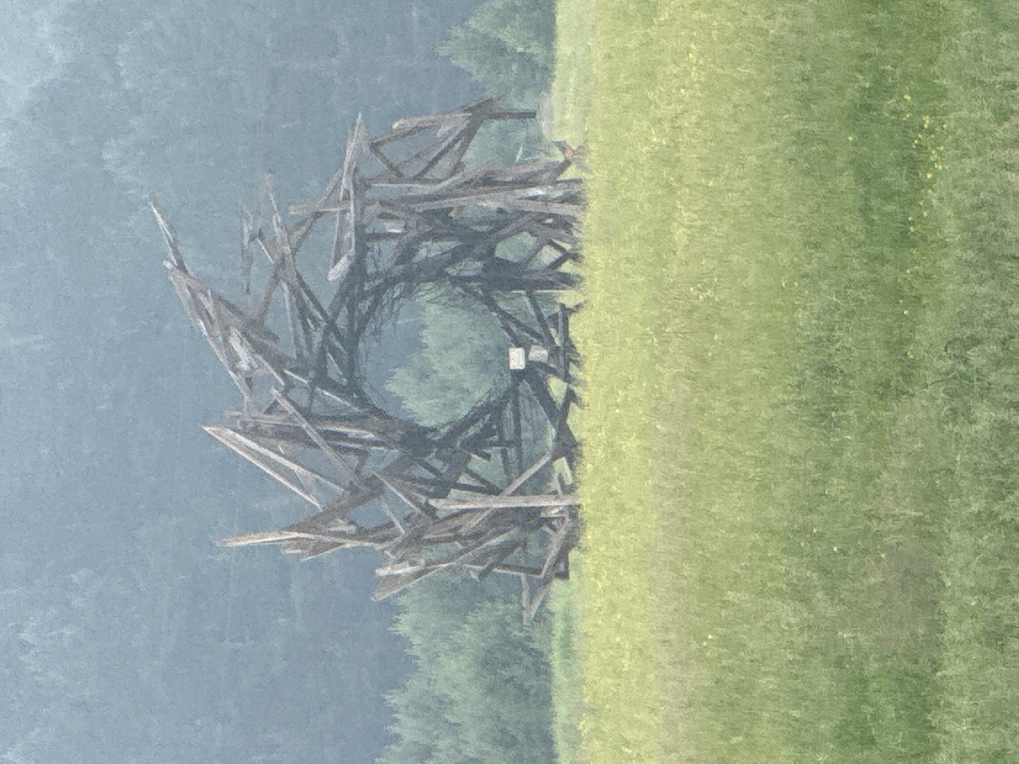 The image shows a large, abstract wooden sculpture in an open field. The sculpture is composed of many rough-hewn wooden beams, arranged in a circular, somewhat chaotic fashion. The wood appears weathered and aged. In the background, a dense forest of green trees is visible, and beyond that, a misty, blue-gray sky. The foreground is a field of tall, green grass with scattered yellow wildflowers. There are no people or animals visible in the image. The setting suggests a rural or natural environment, possibly a park or art installation in a natural landscape. The location in the city of Savvateevka, Russia is noted.