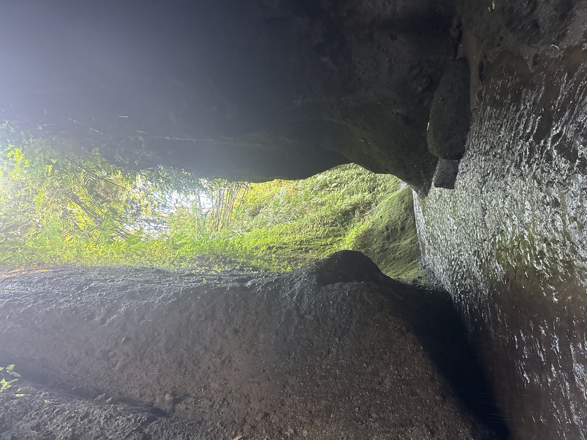 The image shows the view from inside a dark, rocky cave looking out towards a bright, lush green natural landscape. The cave walls are wet and glistening, with water trickling down the right side, suggesting recent rain or a damp environment. The foreground is dominated by the dark, rough texture of the cave floor and walls, creating a sense of depth and enclosure.
Through the opening of the cave, a vibrant scene unfolds. Dense green foliage, likely trees and plants, is bathed in bright sunlight, indicating it is daytime. The light streaming in creates a stark contrast with the darkness of the cave. The vegetation appears healthy and verdant, with some areas showing a mossy growth on the rocks, hinting at a humid climate.
The overall impression is one of natural beauty and a sense of discovery, looking from a hidden, sheltered space into a sunlit, thriving environment. There are no people or objects visible within the cave or in the immediate outdoor scene. The image evokes a feeling of tranquility and the raw beauty of nature. The location is Tembuku, Indonesia. No text is visible in the image.