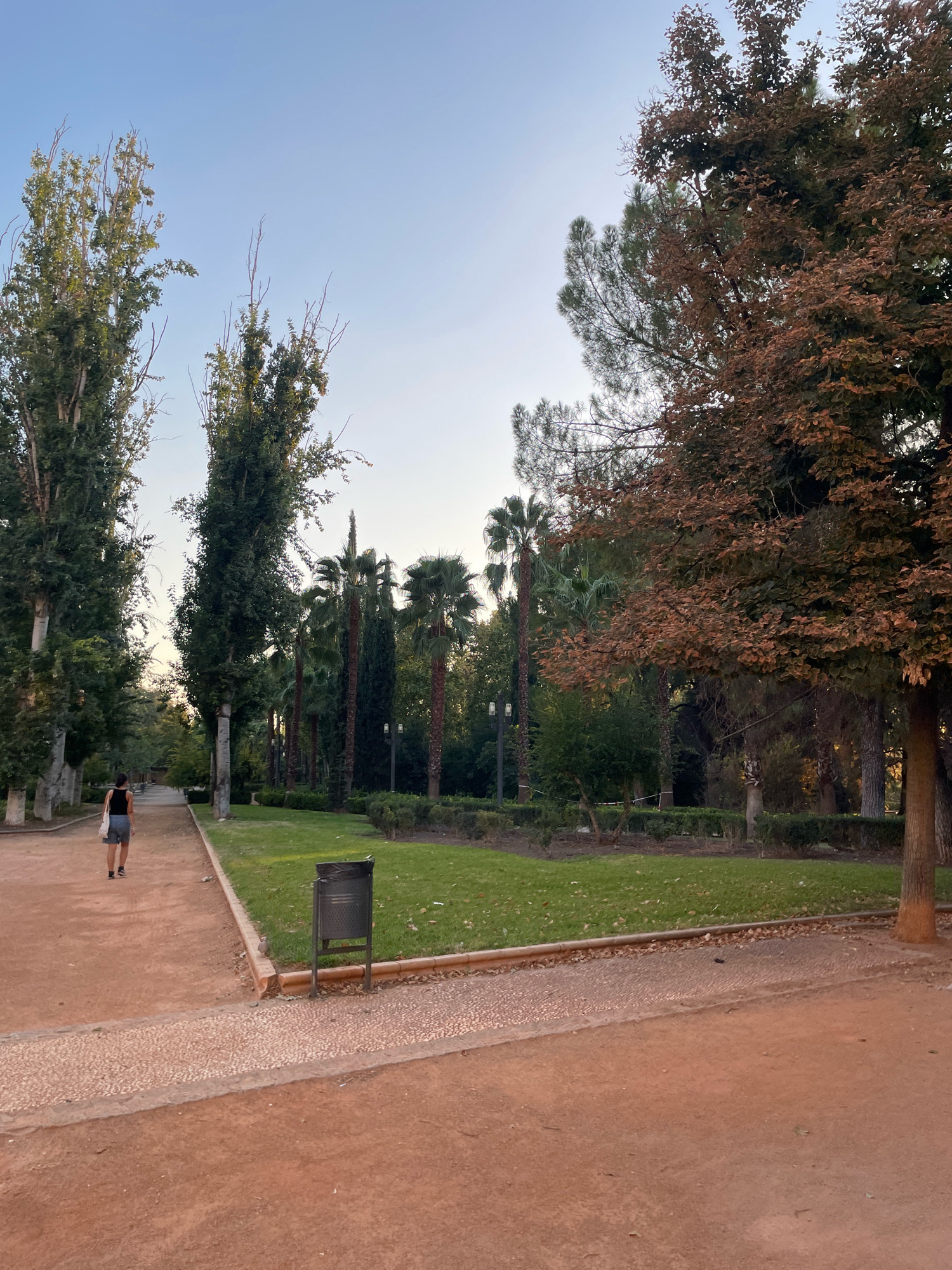 The image captures a serene park pathway in Granada, Spain, likely during the golden hour due to the soft, warm lighting. A lone woman, dressed in a black tank top and light-colored shorts, walks away from the viewer on a reddish-brown dirt path. The path curves gently to the left, bordered by manicured green lawns on the right and tall, slender trees on the left.
The park features a variety of trees, including tall, leafy ones and several palm trees interspersed with cypress-like evergreens. A large tree with reddish-brown leaves dominates the right side of the frame, adding a touch of autumnal color. In the middle ground, a dark gray trash receptacle stands beside the path, near the edge of the lawn. The sky above is a clear, pale blue, indicating a peaceful evening. The ground is a mix of dirt, gravel, and scattered leaves, suggesting a well-maintained but natural environment.