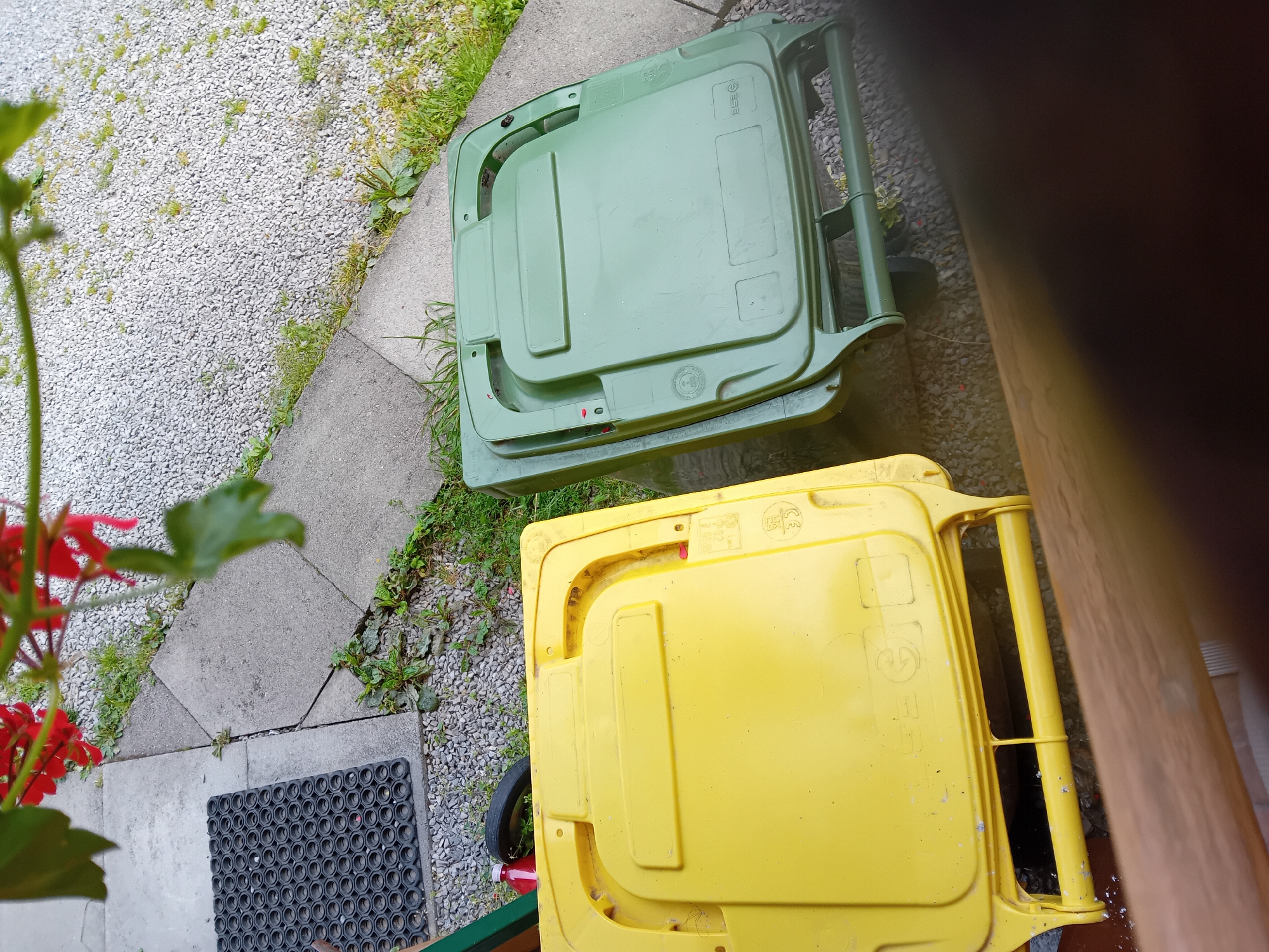 Two wheeled garbage bins, one yellow and one green, are situated on an outdoor paved area. The yellow bin is closer to the foreground. Behind the bins, gravel and patches of grass are visible. A black rubber doormat is placed on the paved area to the left. Red flowers are seen in the upper left corner of the image. The scene appears to be an exterior residential area.
