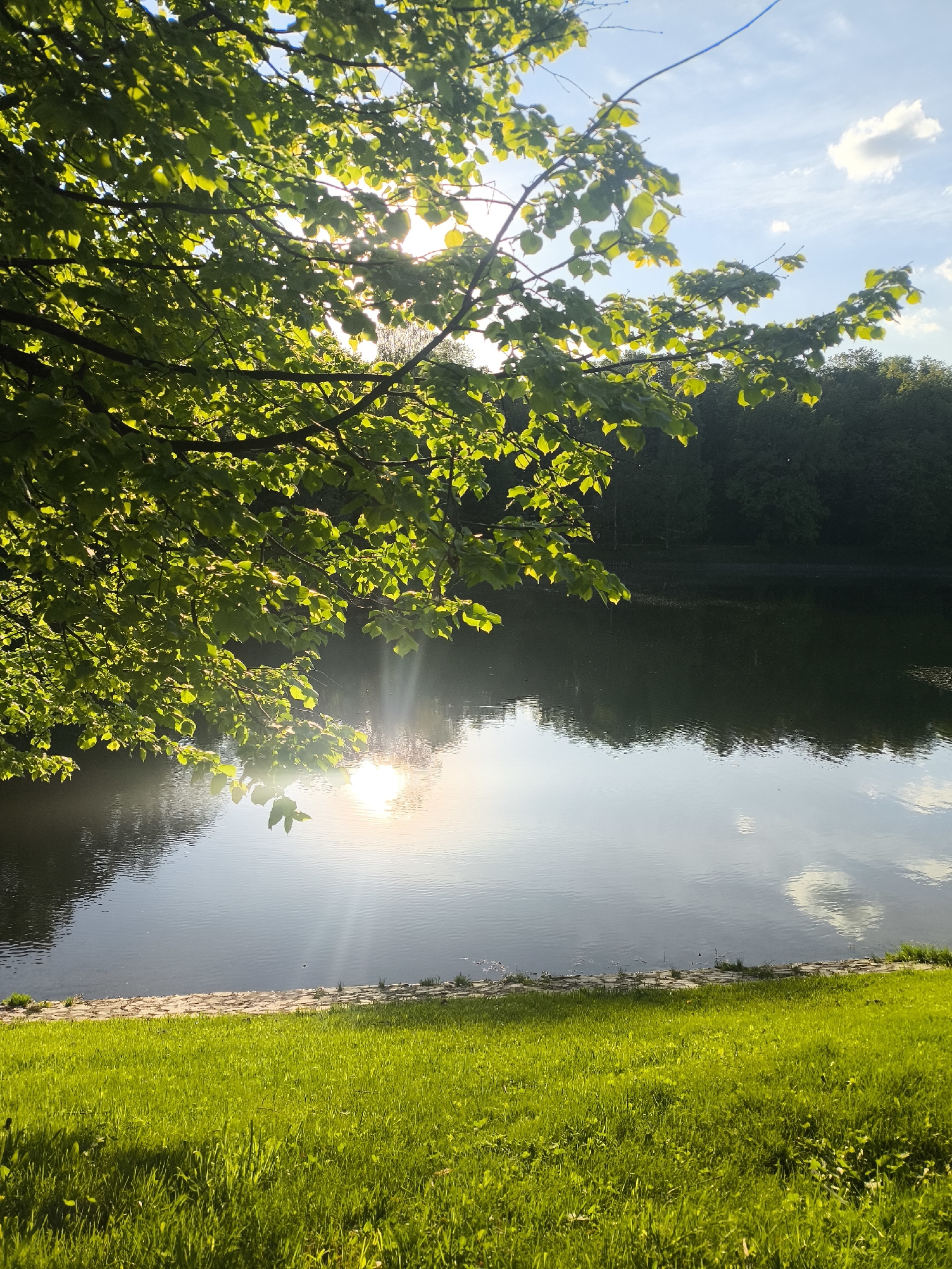 The image depicts a serene lakeside scene in Moscow, Russia. The sun shines brightly, creating a lens flare effect, reflecting off the calm water. A tree with lush, green leaves overhangs the lake on the left side of the frame. The water's edge transitions into a section of brick or stone, which then leads to a grassy lawn in the foreground. In the background, dense trees frame the water, contributing to a peaceful atmosphere. The sky is partially clear with some clouds. The overall impression is one of natural beauty within an urban environment.
