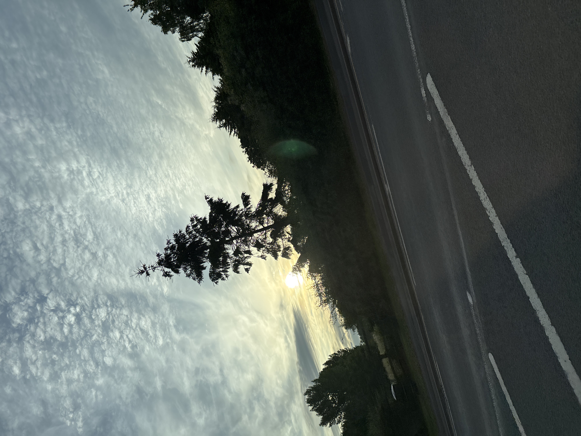 The image depicts a slightly tilted, outdoor scene of a road, trees, and sky, likely taken in the city of South Staffordshire, United Kingdom. The road, paved with asphalt, is visible in the foreground and extends diagonally into the background. White lane markings are present on the road. Flanking the road is a dense line of trees and foliage, silhouetted against a bright, hazy sky. A prominent evergreen tree, its branches silhouetted, stands out against the sky. The sun is visible in the upper left quadrant of the image, partially obscured by clouds, casting a soft, yellow light. The sky is filled with scattered, wispy clouds, creating a textured pattern. A faint green lens flare is visible on the right side of the image, near the trees. The overall impression is one of a tranquil, possibly early morning or late afternoon, rural or semi-rural road setting. There are no people or vehicles visible in the frame.