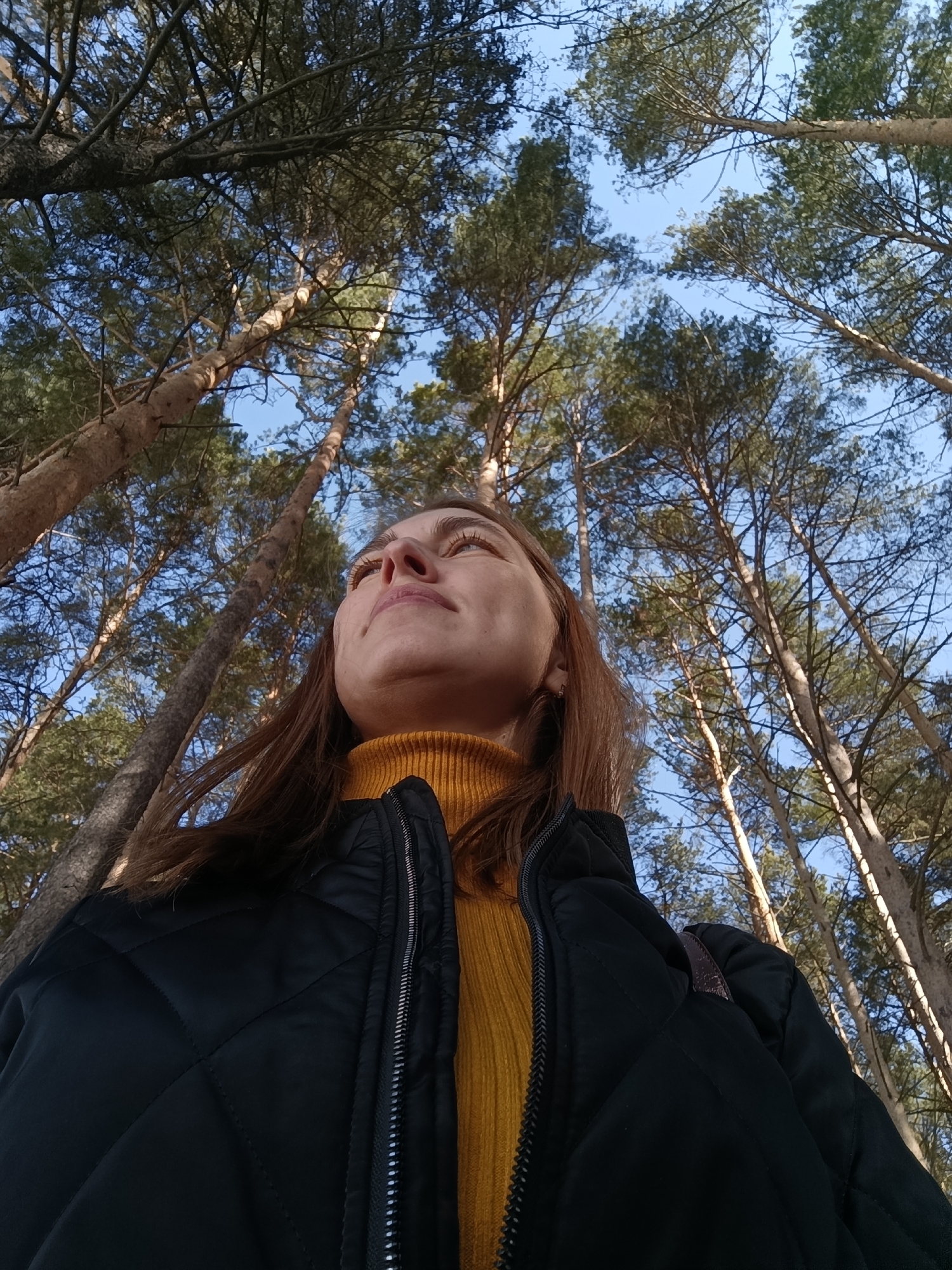 A woman stands in a forest in Chaikovsky, Russia, looking up at the trees. She wears a black quilted jacket over a yellow turtleneck sweater. Tall trees surround her, their branches reaching toward a clear blue sky.