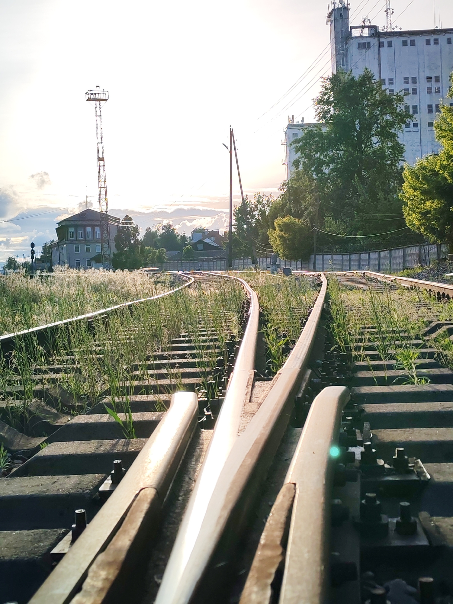 The image depicts a close-up view of a set of converging railroad tracks overgrown with vegetation, located in Bol'shie Mkhi, Russia. The tracks are made of weathered steel and are mounted on concrete sleepers, with visible fastening hardware. The tracks curve gently towards the background, where a cluster of buildings and structures can be seen. A two-story building with a tower stands out on the left, while a taller, industrial-looking building with multiple antennas is present on the right. A utility pole is visible in the center of the frame. The sky is partially cloudy with sunlight filtering through.