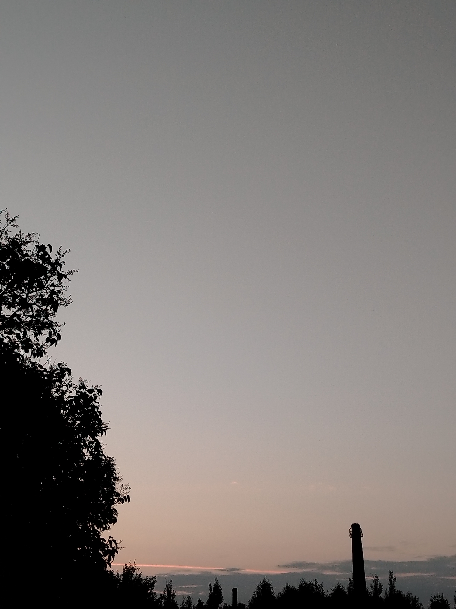 The image captures a twilight sky over Vyborg, Russia, with a stark silhouette of a large tree on the left. In the distance, a tall, industrial chimney stands against the muted sky, with a faint pinkish hue near the horizon, suggesting the last light of sunset or the first light of dawn. The lower portion of the image is filled with the dark shapes of trees and vegetation, creating a natural and industrial contrast. The sky is largely clear, with minimal cloud cover.