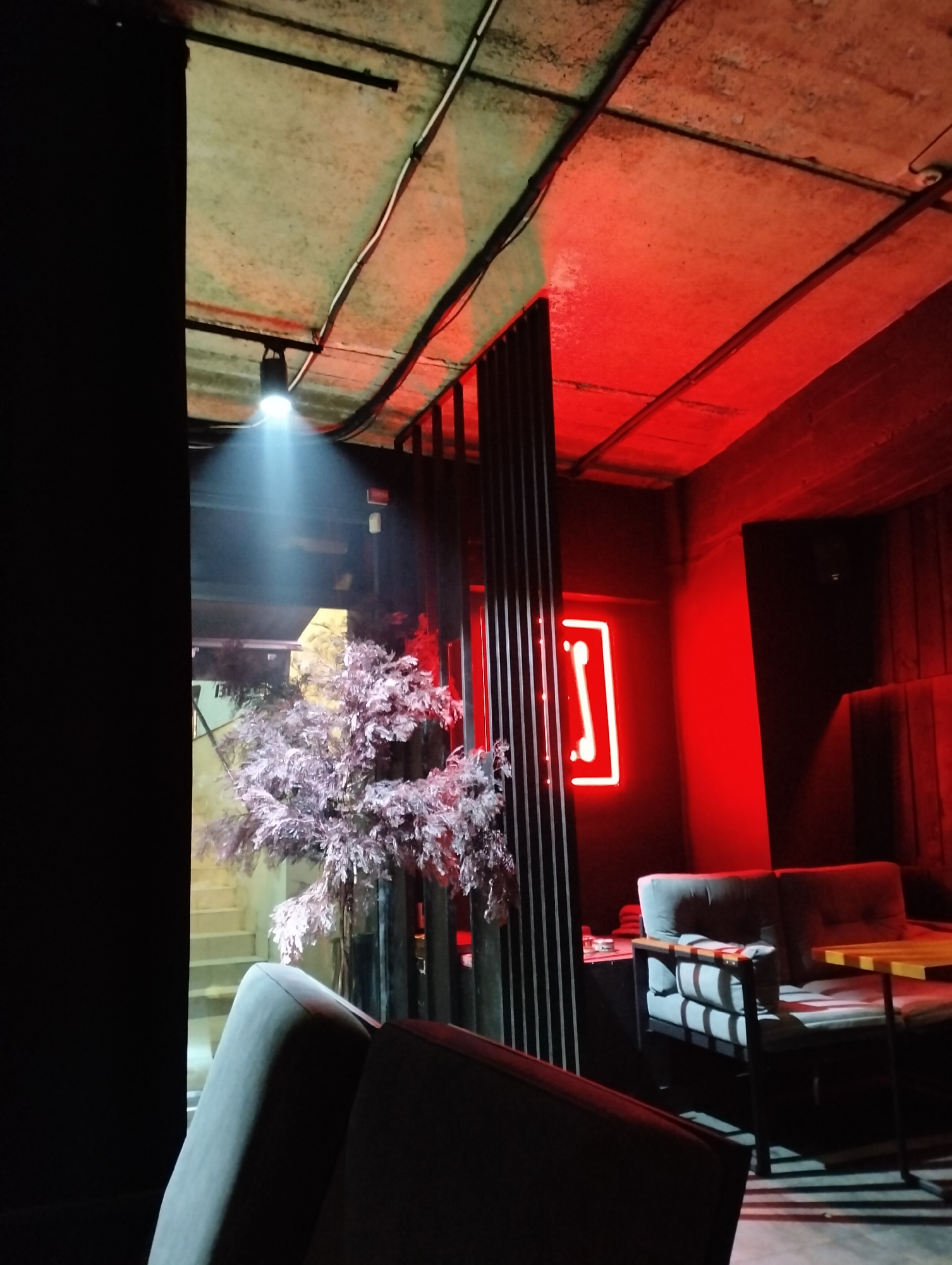 The image shows the interior of a dimly lit room in Ivano-Frankivsk, Ukraine. The lighting is a mix of white spotlights and red ambient light. Exposed concrete ceilings are visible. In the foreground, a portion of gray upholstered seating is visible. Behind the seating, a gray armchair with cushions and a small wooden table are present. A metal partition separates the seating area from a small tree. A neon sign in the shape of a bone is mounted on the wall. A staircase is visible through a window-like opening. A dark curtain is visible at the far left. The overall impression is a stylized, modern space.