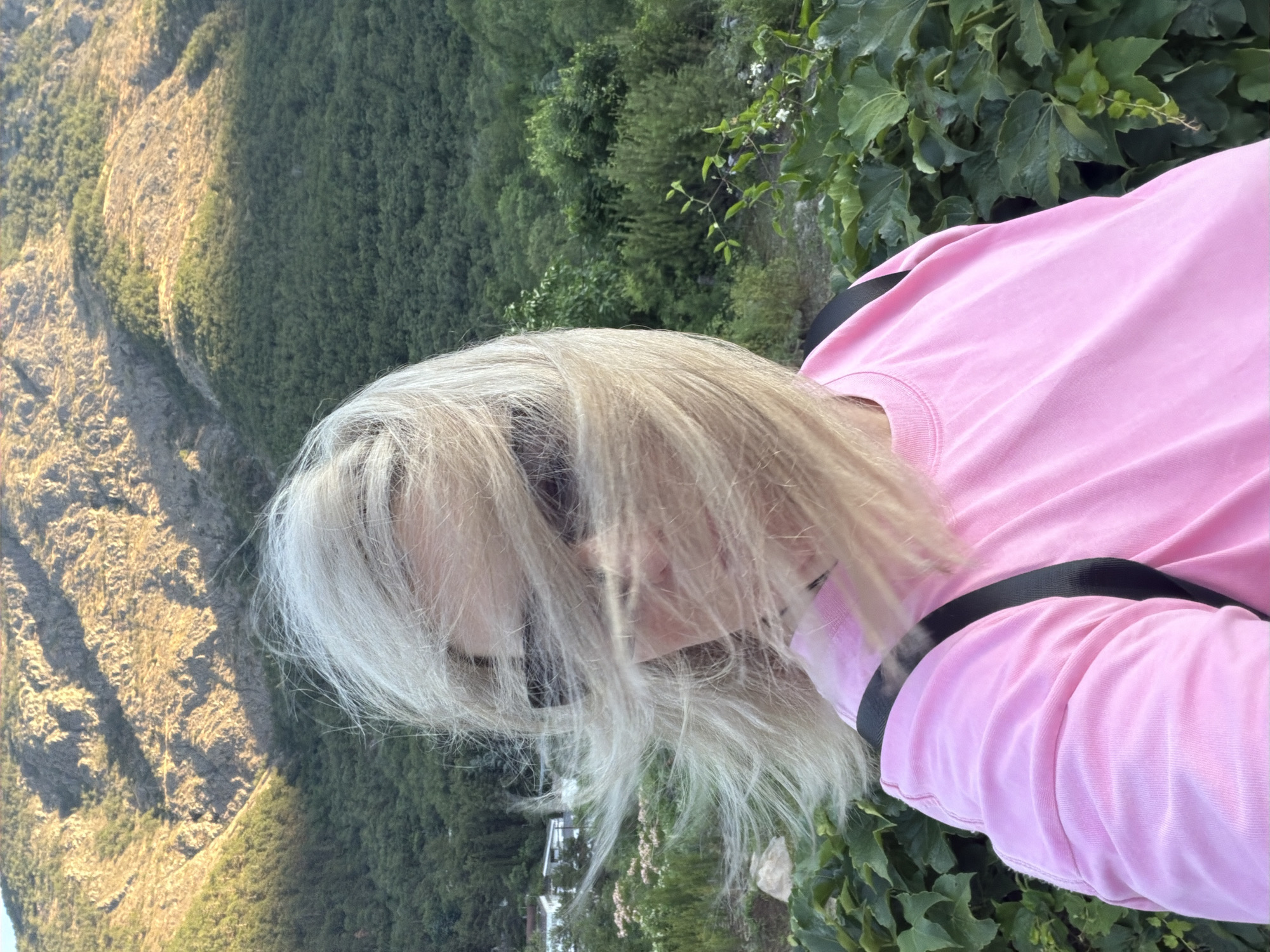 The image shows a close-up of a person's head and upper body, with their blonde hair obscuring much of their face. They are wearing a bright pink long-sleeved shirt with black straps visible across the shoulders. The person is outdoors, with a background of lush green trees and a steep, rocky mountainside. Sunlight casts shadows on the mountain, suggesting it is either morning or late afternoon. The overall impression is of a scenic, natural setting. There is no visible text in the image. The crops provided highlight different parts of the scene, including the texture of the mountain, the foliage, and the fabric of the shirt, offering a more detailed view of these elements.