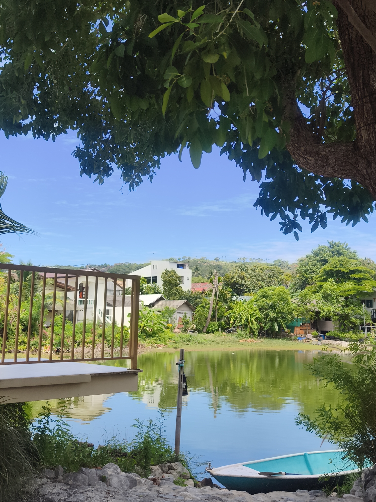 The image captures a tranquil scene in Ko Samui District, Thailand, featuring a body of water reflecting the clear blue sky and surrounding lush greenery. In the foreground, a partially visible structure with a tan railing overlooks the water. A small, teal and white boat rests on the rocky shore in the lower right quadrant, with a single oar inside. The middle ground is dominated by the serene water, with reflections of buildings and trees. Beyond the water, several residential buildings, characterized by white facades and pitched roofs, are nestled amidst abundant tropical foliage. In the background, rolling hills covered in dense vegetation create a verdant backdrop under a bright sky dotted with wispy clouds. A large tree with dark bark and broad leaves partially frames the upper portion of the image, casting shadows and adding depth to the natural landscape. The overall impression is one of peaceful coexistence between human habitation and the vibrant natural environment of Ko Samui.