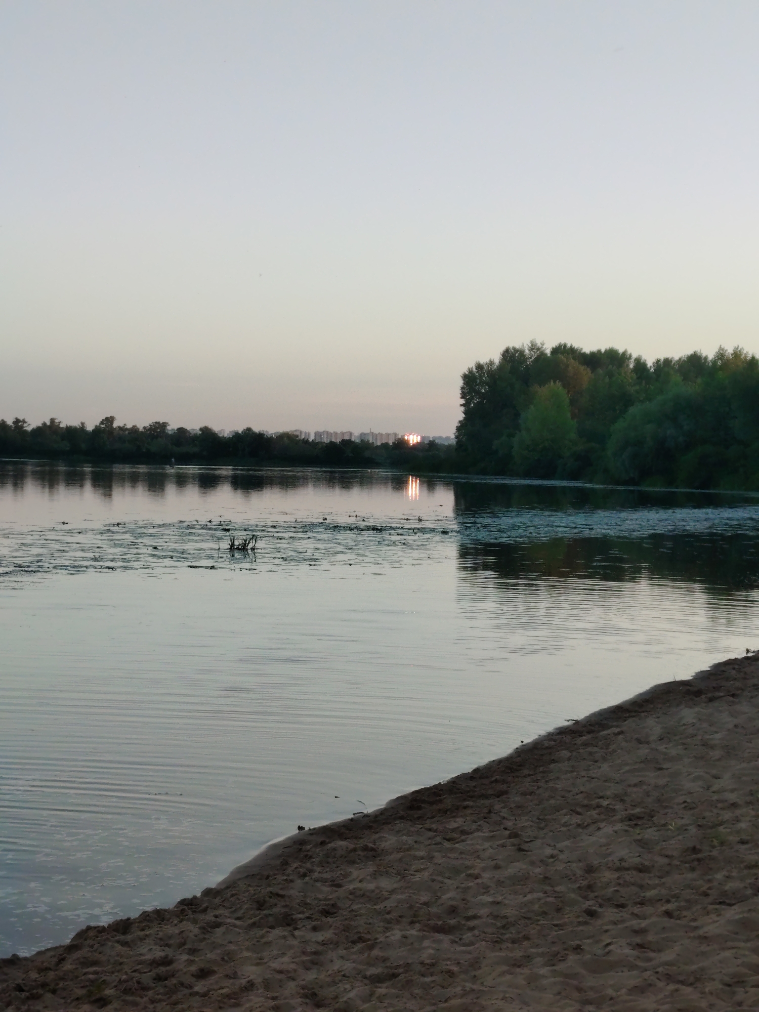 The image depicts a serene natural landscape at dusk, possibly near an urban area. In the foreground, a sandy shore slopes gently into a calm body of water. The water's surface is relatively smooth, with subtle ripples radiating from the left side. Scattered across the water are patches of aquatic vegetation, appearing as dark clusters against the lighter surface. In the distance, across the water, a dense line of trees forms a natural border. Beyond the trees, on the horizon, several tall buildings are visible, suggesting the proximity of a city. The sky above is a pale, diffused gradient, transitioning from a light hue at the top to a warmer, slightly darker tone closer to the horizon, indicative of twilight. A bright reflection of light, likely from the setting sun or city lights, shimmers on the water's surface in the middle distance, between the vegetation and the distant buildings. The overall atmosphere is tranquil and peaceful.