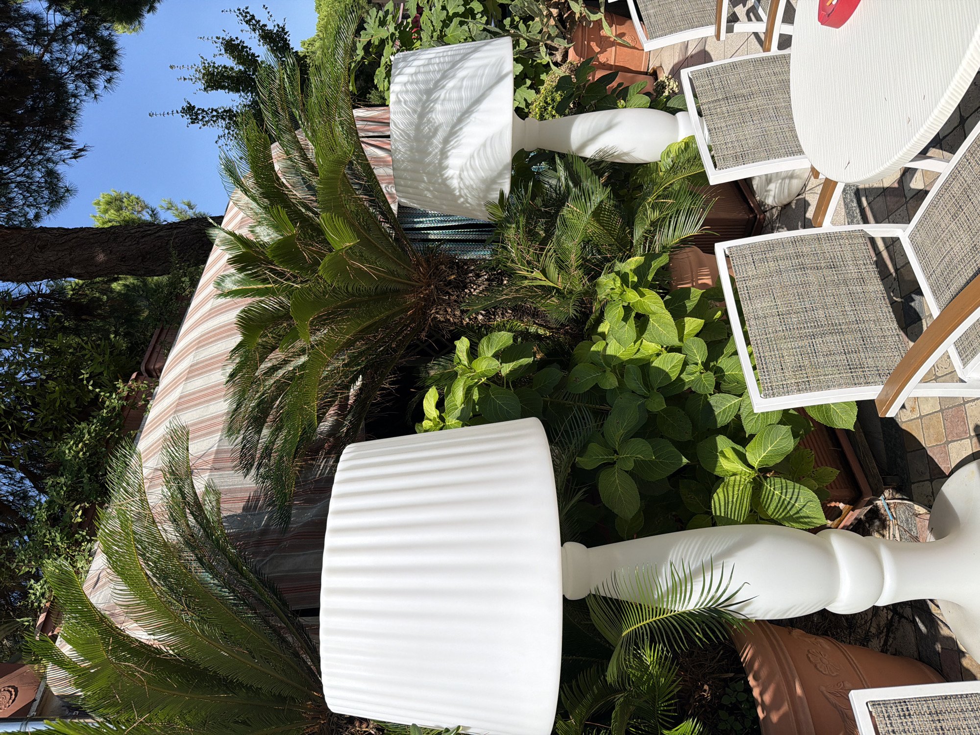 An outdoor seating area is shown, featuring two tall white lamps with pleated shades and patterned upholstery chairs around a white round table. The area is filled with lush green foliage, including palm trees and potted plants, suggesting a sunny, tropical environment. In the background, a striped awning covers part of the scene, hinting at a potential outdoor dining or relaxation space, possibly part of a hotel or restaurant in Gatteo, Italy, given the context. The lighting suggests it is daytime, with clear blue sky visible.