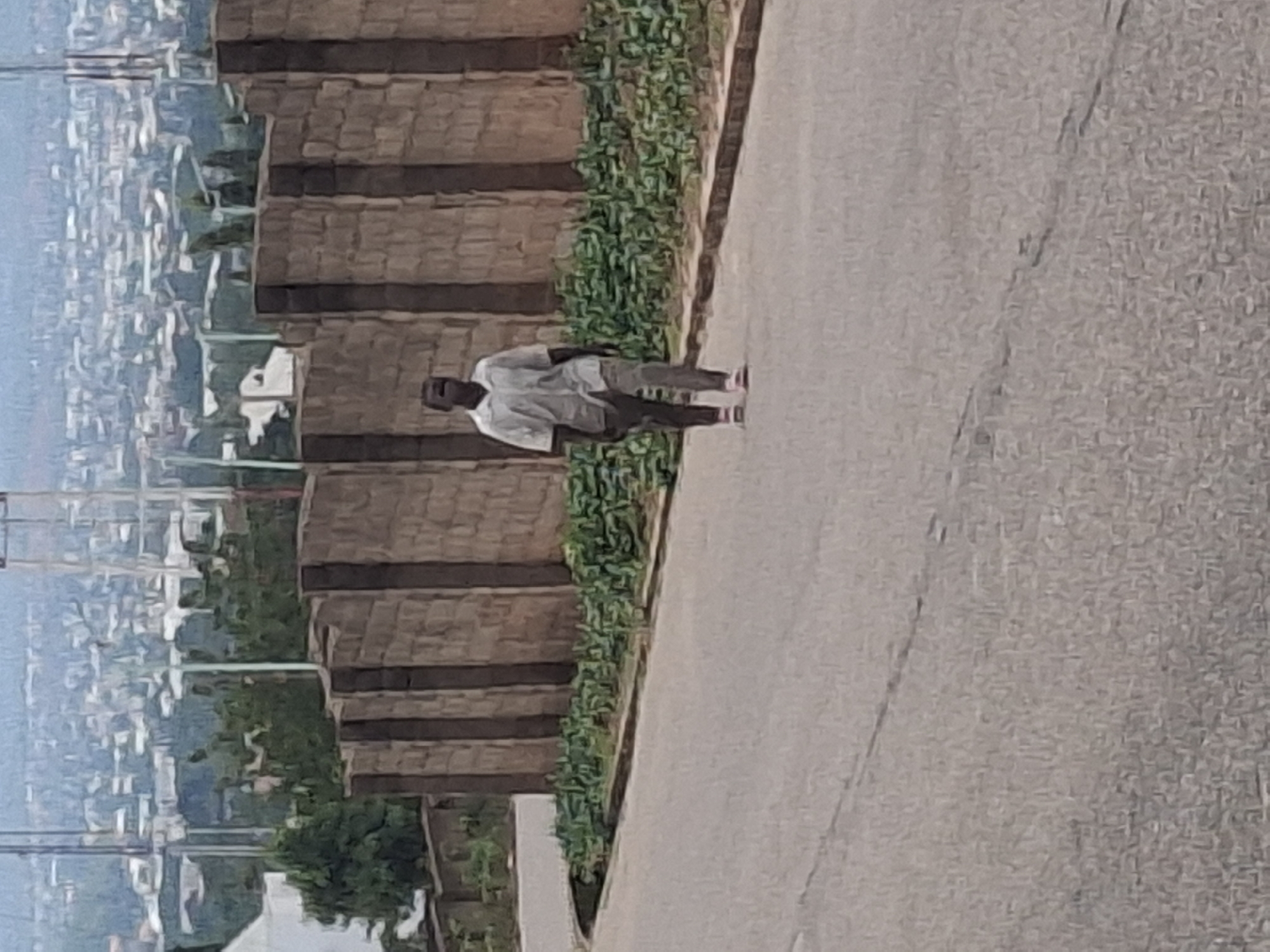 An adult male wearing a light-colored collared shirt and dark pants walks down a paved road. He is walking towards the right side of the frame, with his head tilted up and his mouth open. In the background, a brick wall runs horizontally across the frame, with lush green vegetation growing in front of it. Beyond the wall, a cityscape with buildings and trees is visible, stretching towards a hazy horizon. The scene appears to be an urban environment, potentially Gombe, Nigeria, given the architectural style and vegetation. The lighting suggests it is daytime.