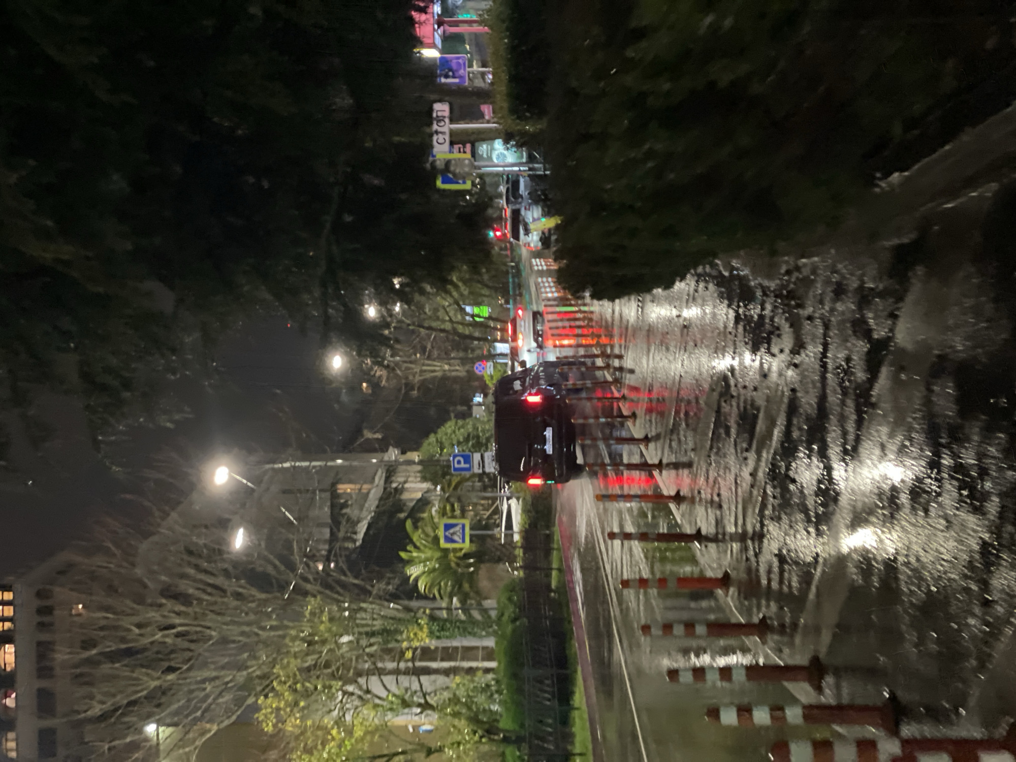 The image depicts a wet city street at night in Sochi, Russia. It is raining. A black van with illuminated tail lights is stopped on the right side of the road. A series of orange and white striped bollards line the right edge of the street, separating the road from a curb and a grassy area. Streetlights illuminate the scene, reflecting off the wet pavement. Buildings are visible in the background, along with trees. Street signs, including a "P" (parking) sign and a yellow triangle indicating a hazard, are also visible. Other vehicles are stopped ahead of the black van.