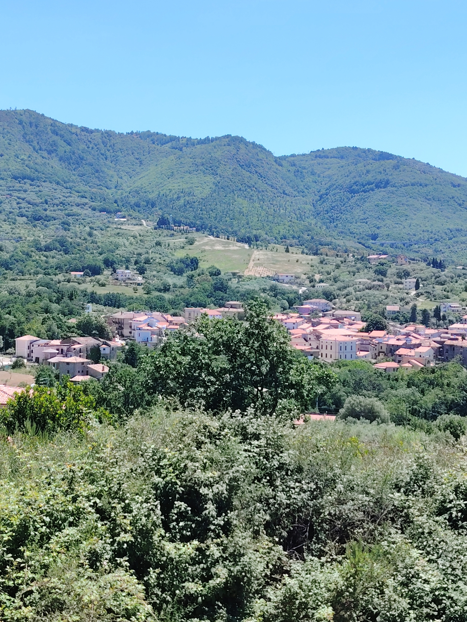 This is an outdoor shot of Ceraso, Italy, under a clear, blue sky. The scene is an elevated view overlooking the town from a distance.
In the foreground, dense green foliage dominates the lower portion of the frame. Above the foliage, a cluster of buildings with terracotta roofs is visible, forming part of the town. The buildings are mixed in with more green vegetation, giving the town a partially hidden appearance amidst the trees.
In the background, a large green mountain range spans the width of the frame, providing a natural backdrop to the town. The terrain is uneven, creating a varied elevation across the range.