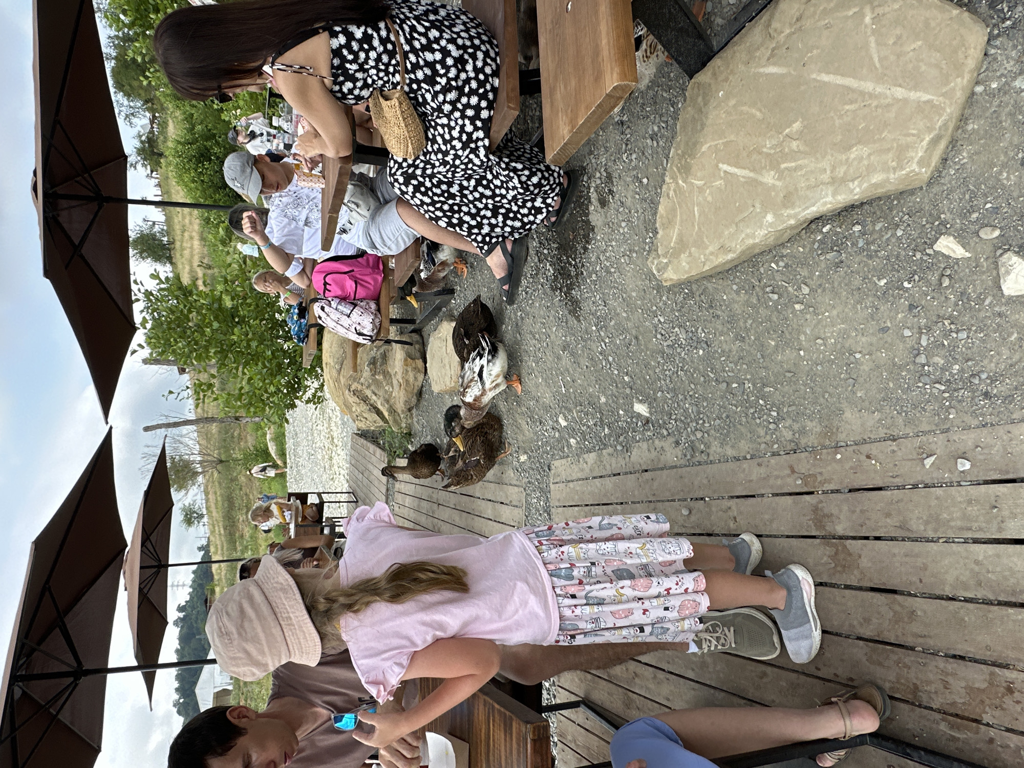 A group of people are seated at picnic tables under umbrellas in an outdoor seating area. The area appears to be a cafe or restaurant with a rustic setting, featuring wooden tables and benches, and a gravel ground. Several ducks are present, walking around the tables and on the wooden decking. The people are engaged in eating and socializing. In the background, there is a grassy hillside with trees and a cloudy sky. The location is identified as Nizhnyaya Shilovka, Russia.