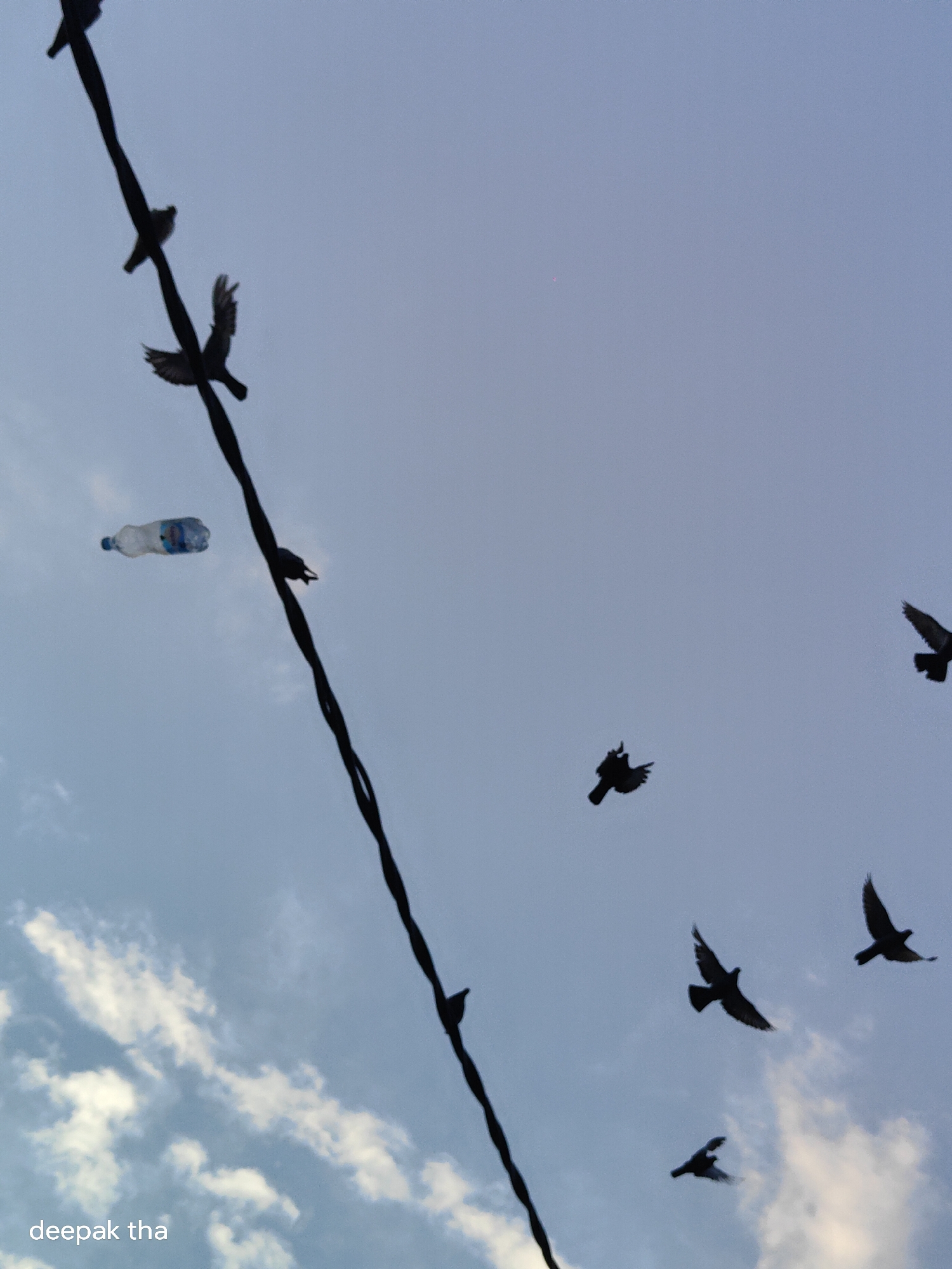 The image shows a wire stretched across a sky with scattered clouds. Several birds are in flight, silhouetted against the light sky. One bird appears to be perched on the wire. There is also a plastic water bottle hanging from the wire. The text "deepak tha" is visible in the bottom left corner, suggesting the image was taken in or near Vashisht, India.