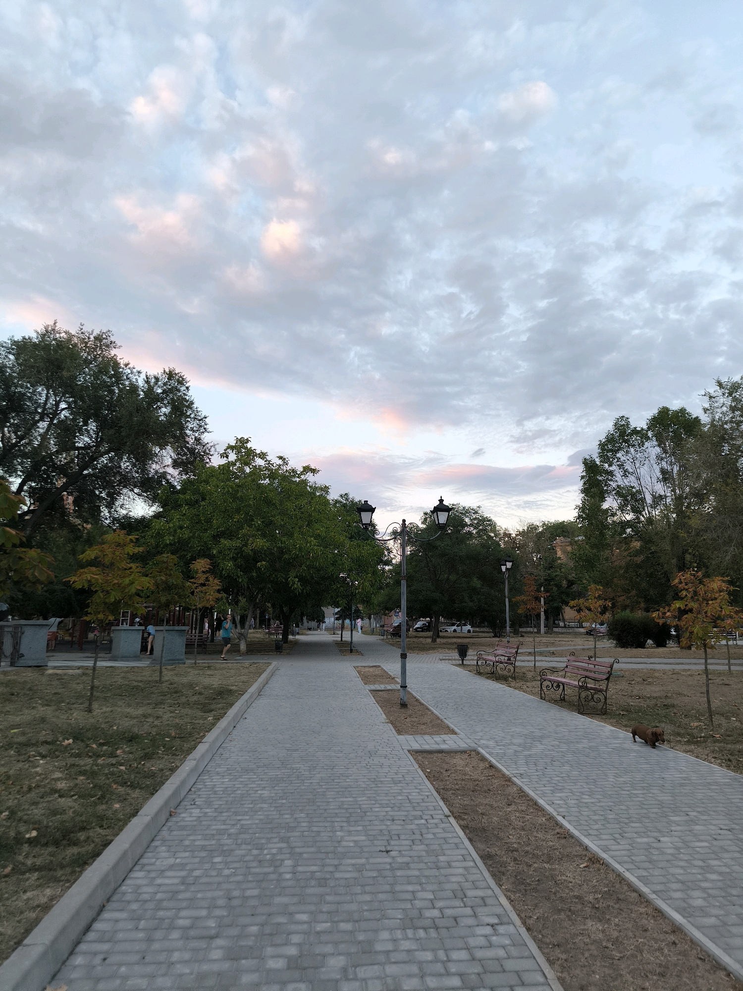The image depicts a park path in Mykolaiv, Ukraine, likely during the evening as indicated by the soft lighting and clouds. The path is paved with light gray rectangular bricks and runs through a grassy area lined with trees. To the left of the path, there's a children's playground with some structures and a few people present. Further along the path, benches are visible, some with a reddish-brown hue. A small brown dog is seen walking on the path to the right. The sky above is filled with clouds, with hints of pink and orange suggesting either sunrise or sunset. Streetlights are present along the path, contributing to the park's ambiance. The overall scene conveys a tranquil atmosphere in a public urban park.