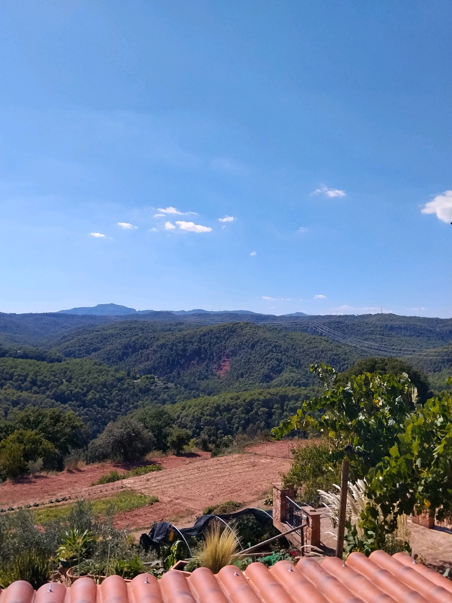 The image shows a scenic landscape, likely from a rural area near Caldes de Montbui, Spain, characterized by rolling hills covered in dense green forest under a clear blue sky with scattered white clouds. In the foreground, there are terracotta roof tiles, suggesting a residential or agricultural structure. A balcony or terrace with a stone railing and vegetation, including a grapevine, is also visible. The middle ground features agricultural fields with reddish-brown soil, some appearing tilled and others planted with rows of crops or young plants. There are also various plants and potted items on the terrace. Beyond the fields, the forest extends across the undulating terrain, with hints of power lines and transmission towers visible in the distance. The overall impression is one of a rural, natural setting, possibly a vineyard or farm, with a vast expanse of forest and mountains in the background.