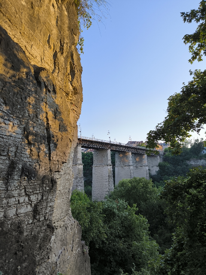 This image depicts a static landscape scene in Kamianets-Podilskyi, Ukraine, specifically showcasing the Novoplanivskyi Bridge and the Smotrych River canyon. The left foreground is occupied by a substantial, stratified rock cliff face, exhibiting varying shades of grey and beige, with its upper section strongly illuminated by golden, low-angle sunlight. The mid-ground features the Novoplanivskyi Bridge, a prominent civil engineering structure composed of multiple light-colored stone piers supporting a dark, metallic-appearing superstructure adorned with numerous decorative lampposts along its railing. Below the bridge, the deep canyon is filled with a dense, unidentifiable mass of dark green deciduous trees and other vegetation. The upper portion of the frame is dominated by a clear, unblemished blue sky. Foliage from an unseen tree partially frames the right side of the image, and faint, indistinct building outlines are visible on the distant horizon above the bridge. No human figures or discernible actions are present in the scene.
