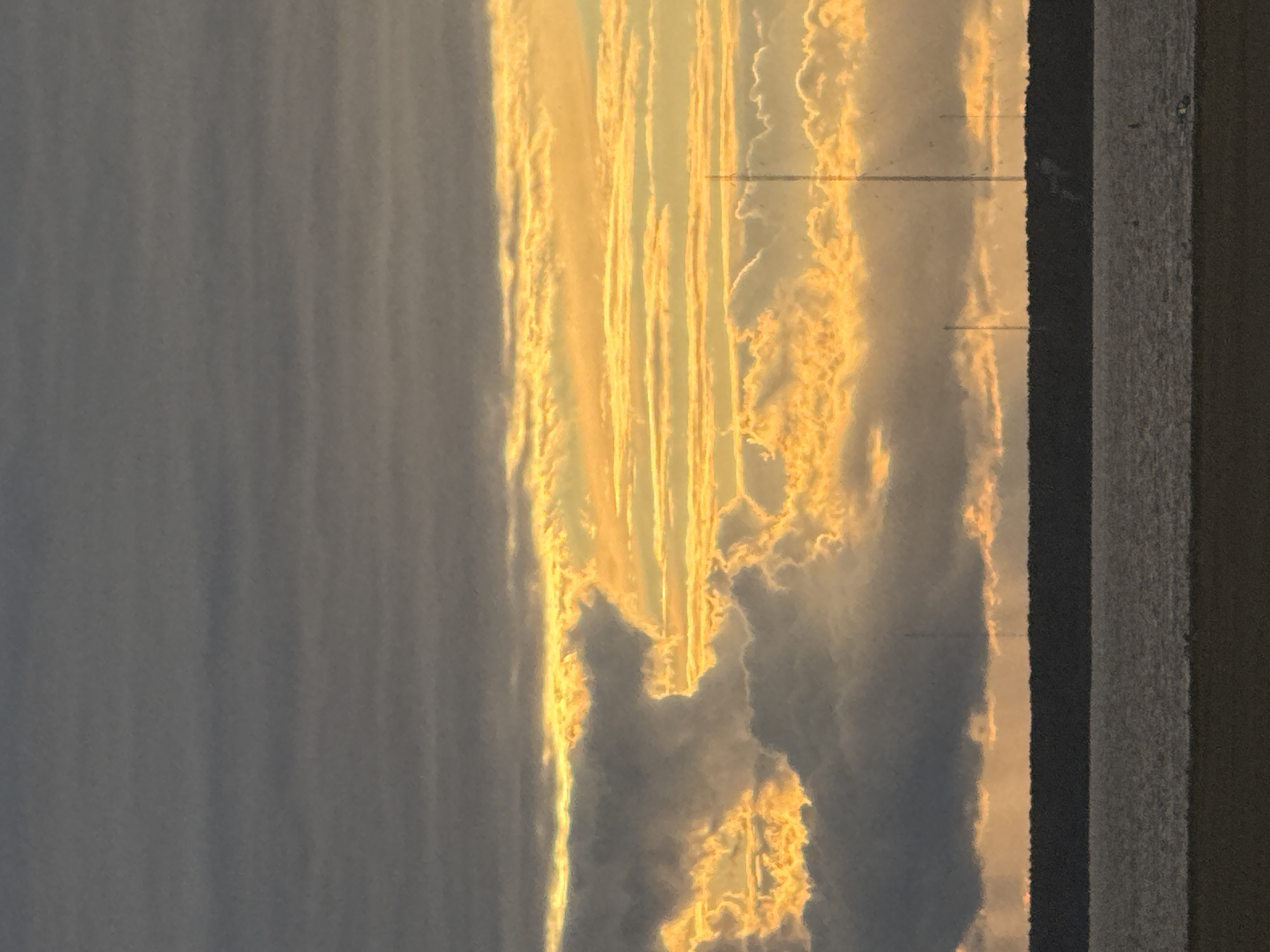 The image depicts a body of water, likely a bay or gulf, with a dark, tree-lined shore in the distance. The sky above is filled with dramatic clouds illuminated by a setting sun, casting a warm, golden glow. Several tall, slender towers are visible rising above the treeline on the right side of the frame. The water is choppy, suggesting a breeze. The foreground is a dark, textured area, possibly a beach or pier. The overall impression is one of a natural landscape at dusk, with man-made structures subtly integrated into the scene. The image does not provide any specific clues about the location being Saint Petersburg, Russia.