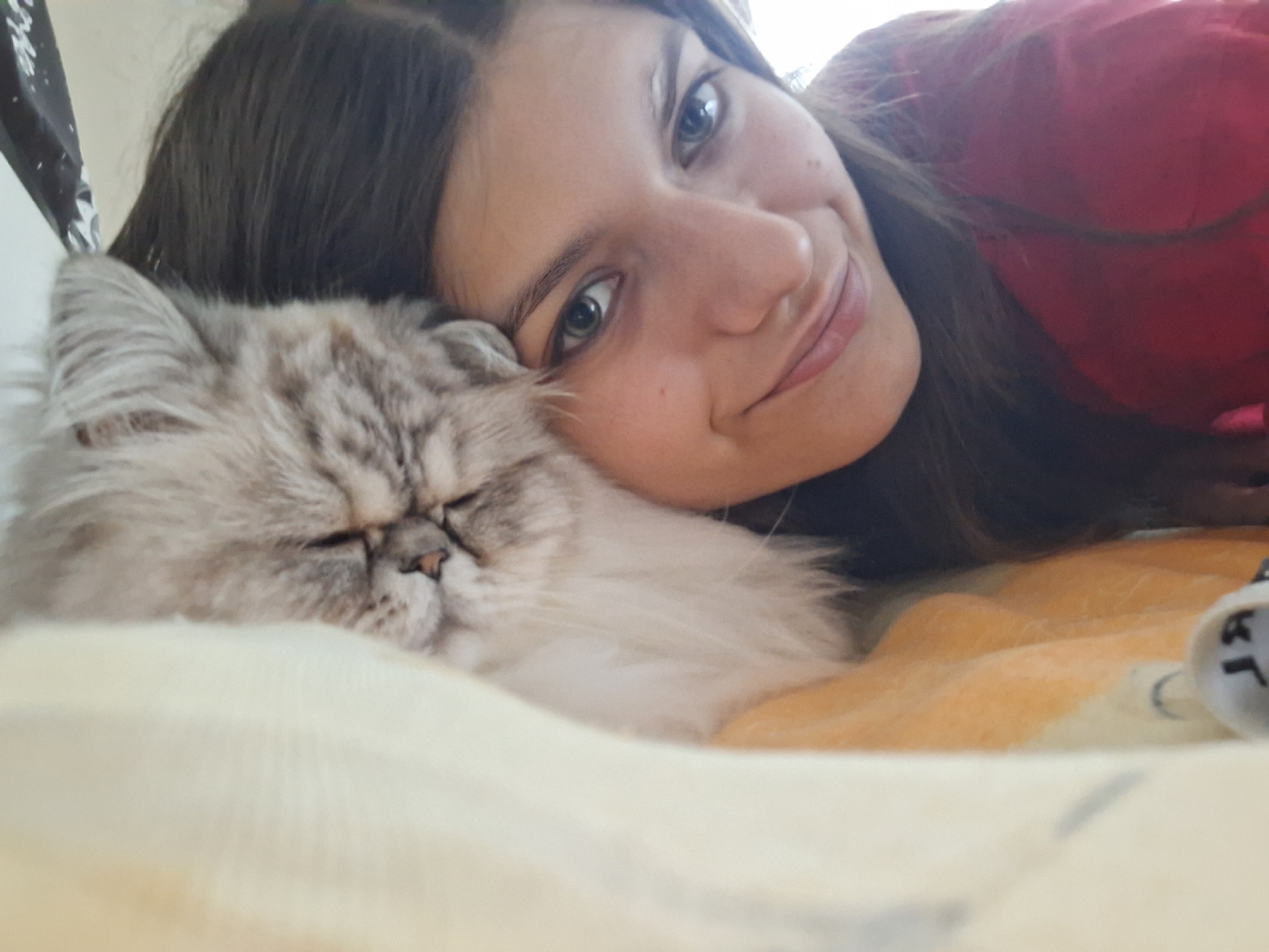 A young woman with brown hair and green eyes lies on a bed with a fluffy gray and white cat. The woman smiles slightly, her face close to the cat's. The cat appears to be sleeping, with its eyes closed. The bed has yellow and white sheets. The location is unknown and there is no information that indicates this scene is in Panagyurishte, Bulgaria.