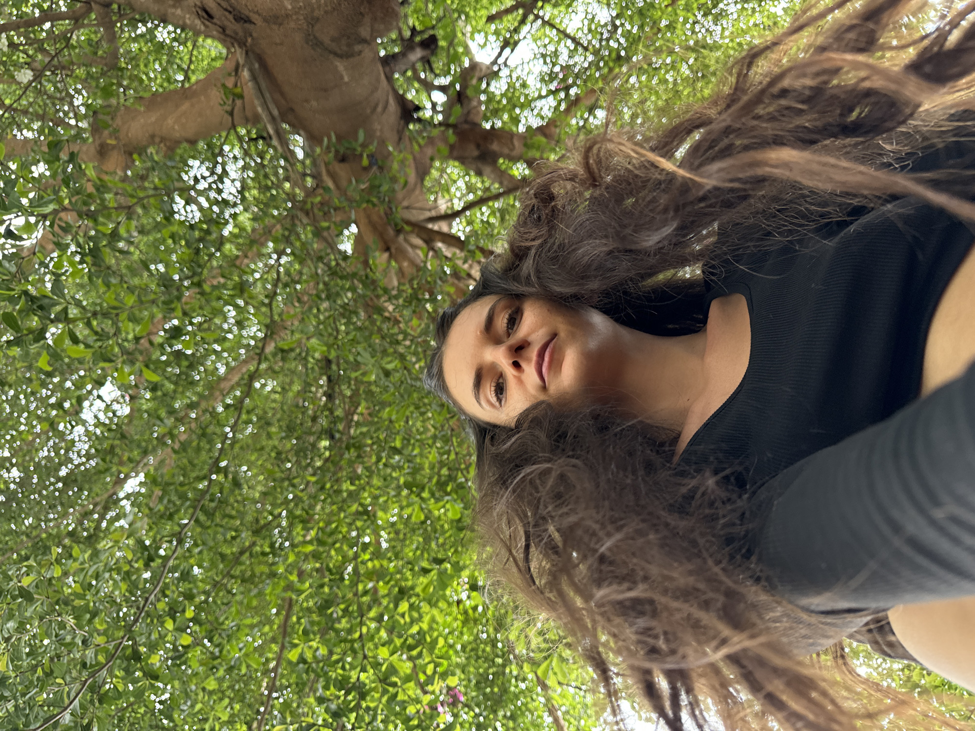 A low-angle selfie features a young woman looking upwards towards a vibrant green tree canopy. The woman's face, positioned in the lower-middle and right side of the frame, is partially visible, showing her eyes, nose, and mouth with a calm expression. Her long, dark, wavy hair cascades downwards around her head due to gravity, suggesting an upward tilt of the camera or her head. She is wearing a black ribbed top.
The background is dominated by the dense foliage and thick trunk of a large tree. The leaves are a bright green, and numerous small, bright spots indicate sunlight filtering through the canopy, suggesting a clear, sunny daytime. The substantial brown trunk of the tree is visible towards the top of the frame, blending into the branches. The upward perspective places the viewer directly beneath the expansive tree. The overall setting is natural and serene, characteristic of an outdoor location like Mũi Né, Vietnam. There is no visible text in the image.