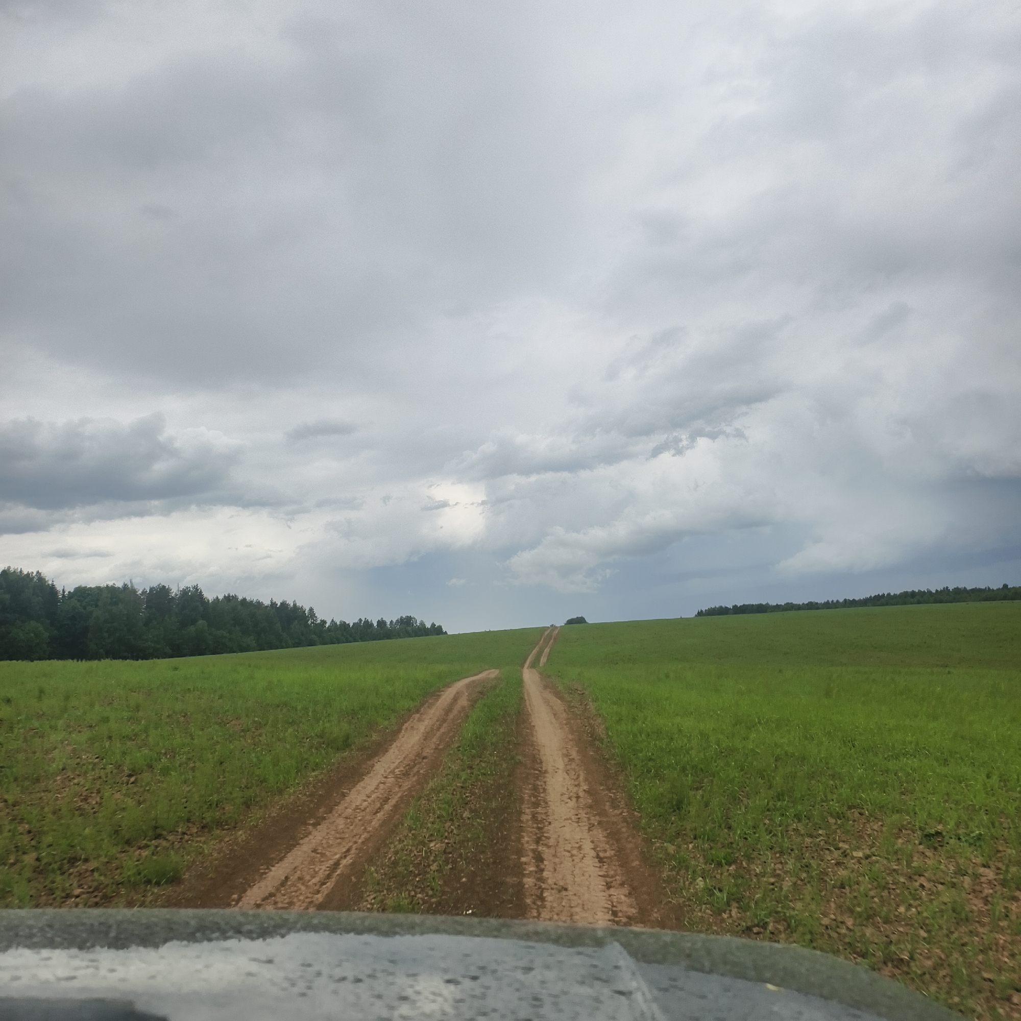 The image depicts a dirt road leading through a green field under an overcast sky. A forest line is visible in the distance on the left. The road splits into two paths near the foreground. A portion of a vehicle's windshield is visible at the bottom of the image, suggesting the photo was taken from inside the vehicle. The location is potentially Kamennyi Kliuch, Russia.