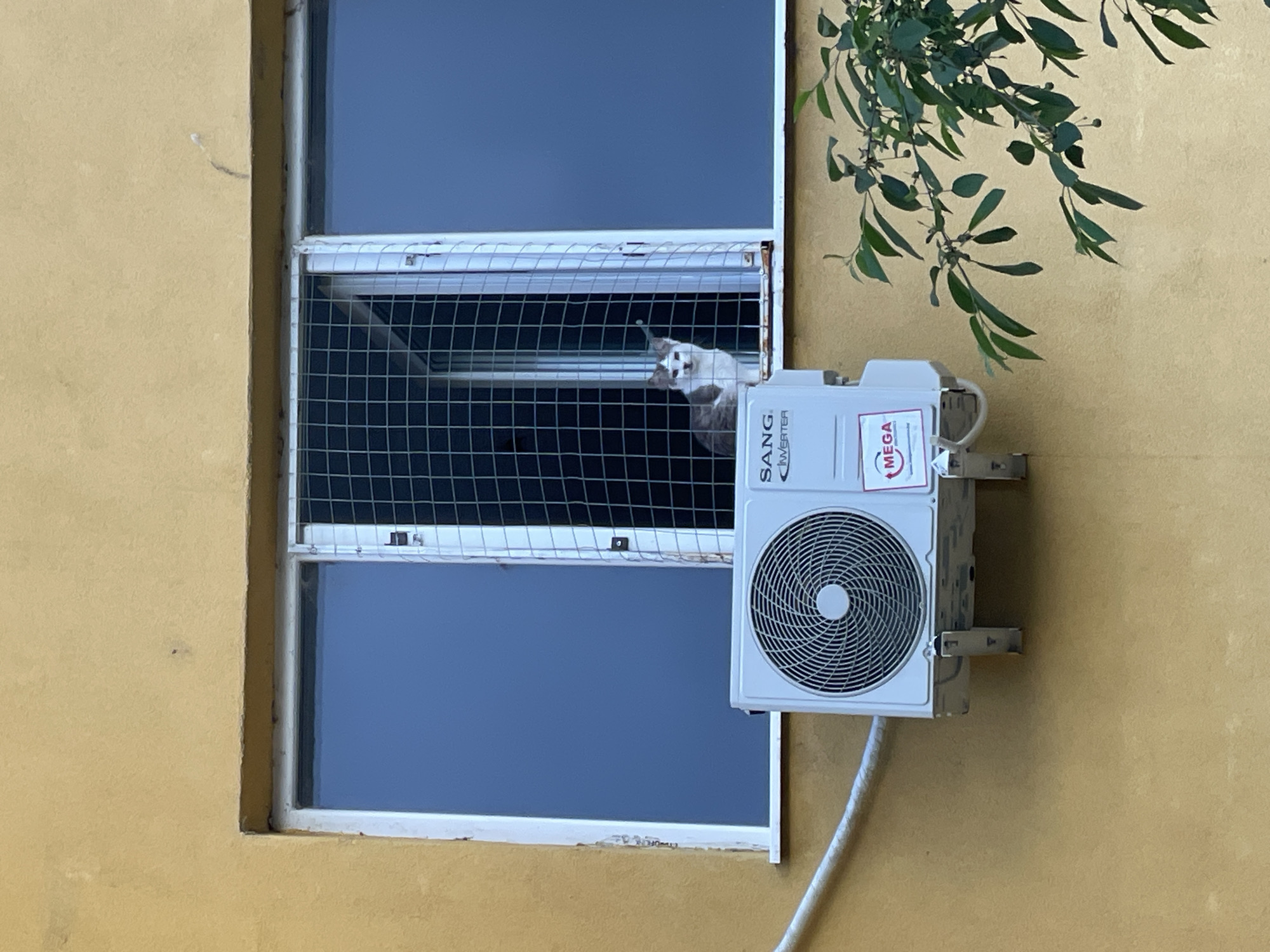 A medium shot depicts a beige exterior wall with a window and an air conditioning unit. The window is composed of two panes, each reflecting a deep blue. A white wire mesh is affixed to the window's exterior. Behind the mesh, a white cat is visible, looking towards the viewer's right. An air conditioning unit, labeled "SANG. Inverter" and "MEGA" is mounted to the right of the window, and its white cable extends down the wall. The upper right corner of the frame is adorned with green foliage. The scene is located in the city of Sofia, Bulgaria.