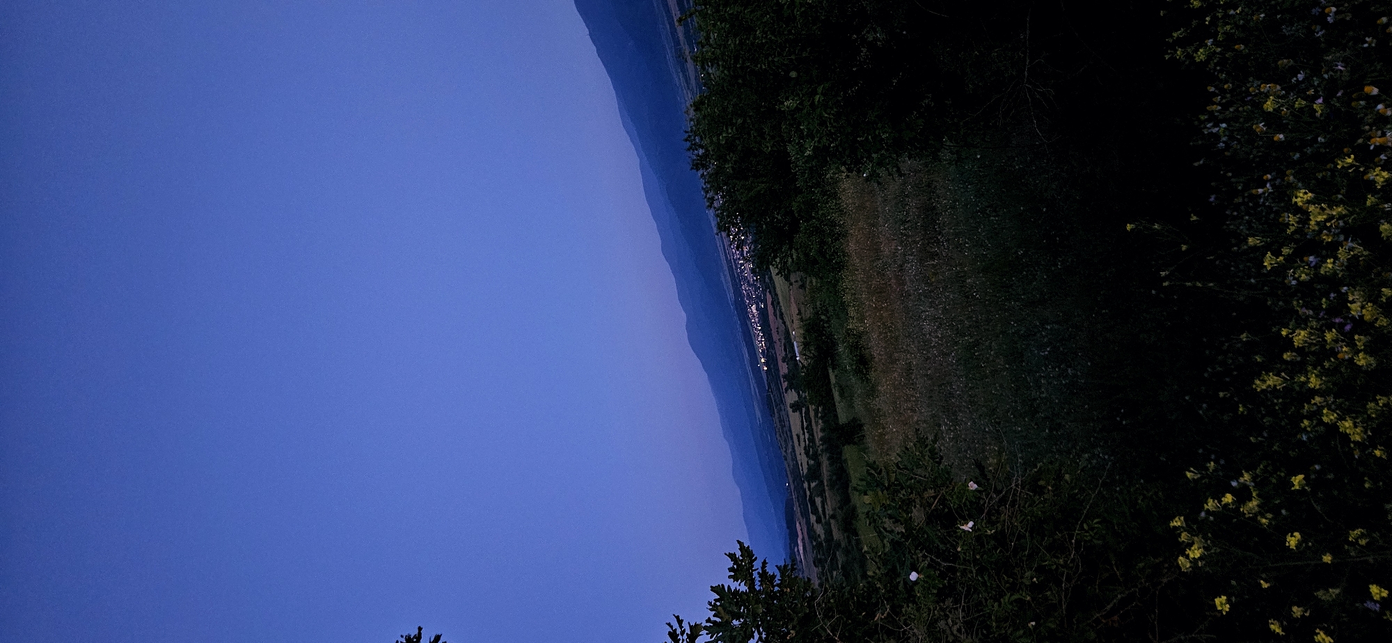 The image depicts a landscape scene at dusk or twilight, with a clear, dark blue sky dominating the upper portion. In the midground, a valley stretches out, dotted with a village or town that is illuminated with numerous lights, suggesting it is nighttime or very late evening. Rolling hills and mountains form a layered backdrop, fading into a hazy blue in the distance. In the foreground and middle ground, the terrain is covered in various types of vegetation, including trees and dense grasses. Some of the foreground vegetation features small yellow and white flowers, particularly concentrated at the bottom of the frame. The overall impression is a rural or semi-rural setting with a settlement nestled within a valley, observed from an elevated vantage point. The location is identified as the city of Momin Prohod, Bulgaria.
