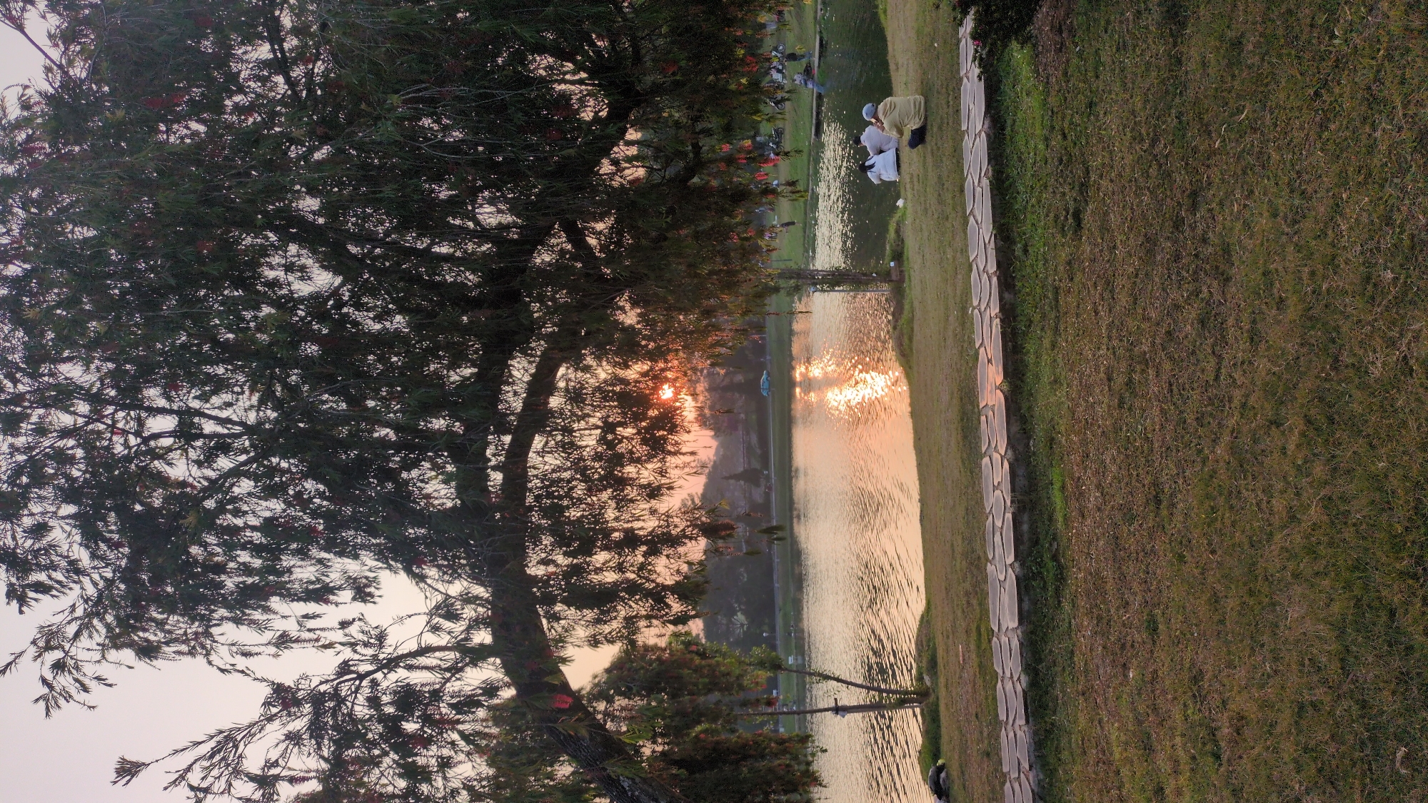 The scene captures a landscape at sunset in Da Lat, Vietnam. A tree with dense foliage dominates the left side, its branches partially obscuring the setting sun. The sun's rays reflect on a body of water, creating a shimmering effect. Along the water's edge, a path of irregular stone slabs separates the water from a grassy area. People are seated near the water's edge. The overall environment suggests a serene and peaceful park setting at dusk.